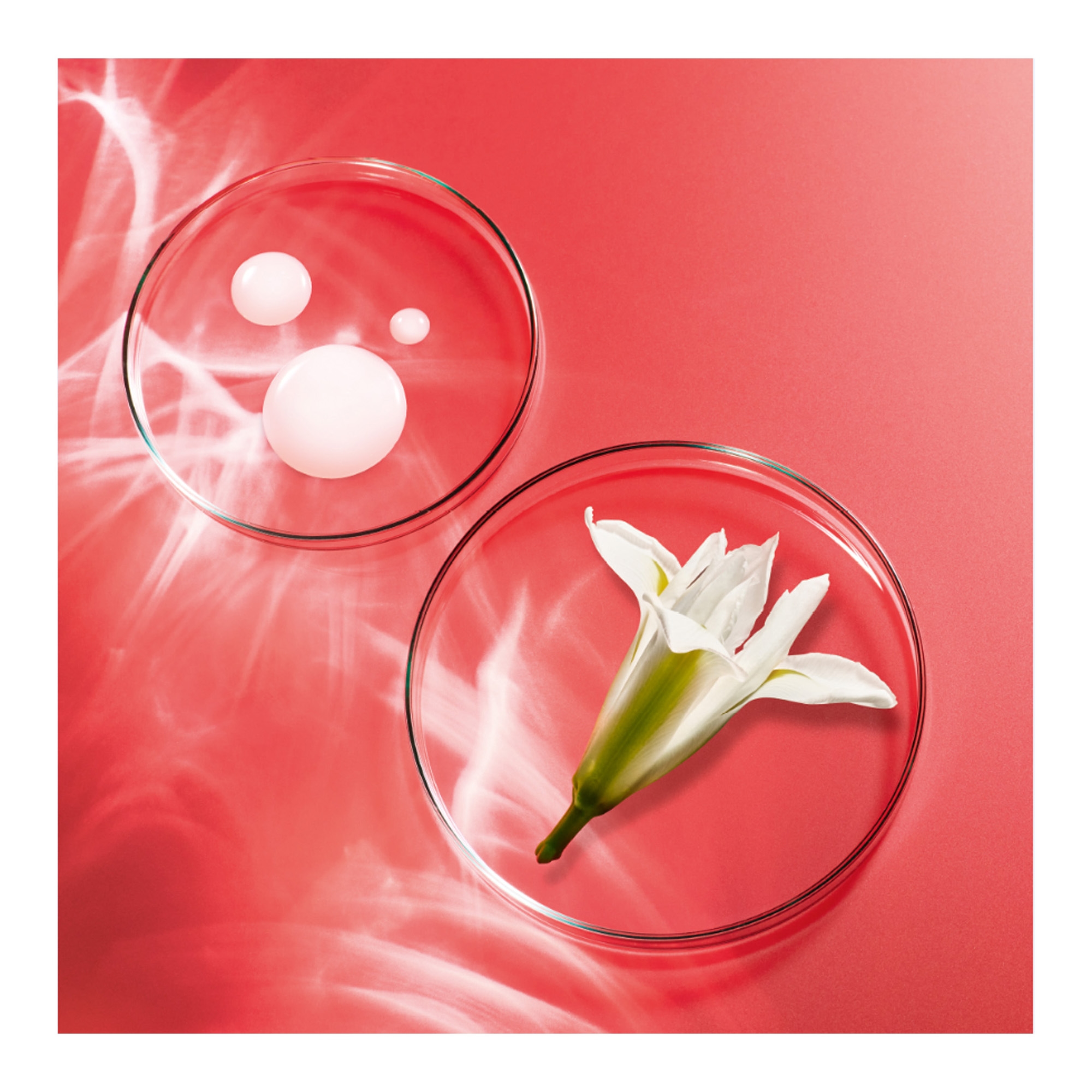 Ultimune Power Infusing Hand Cream niisutav kätekreem 75ml