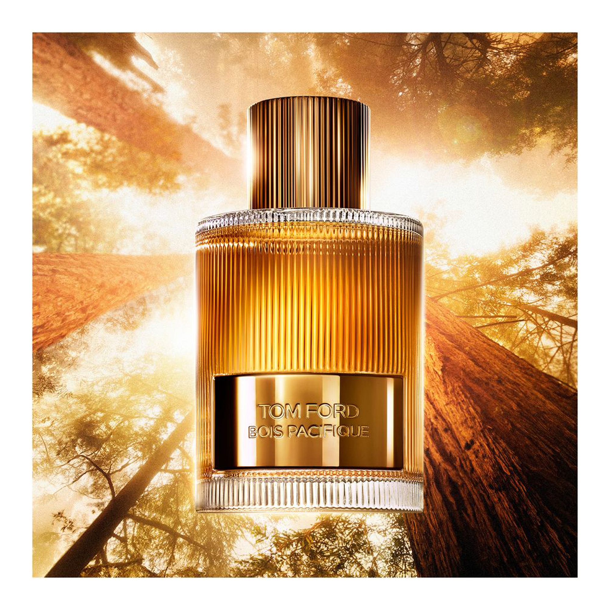 Bois Pacifique EdP 50ml