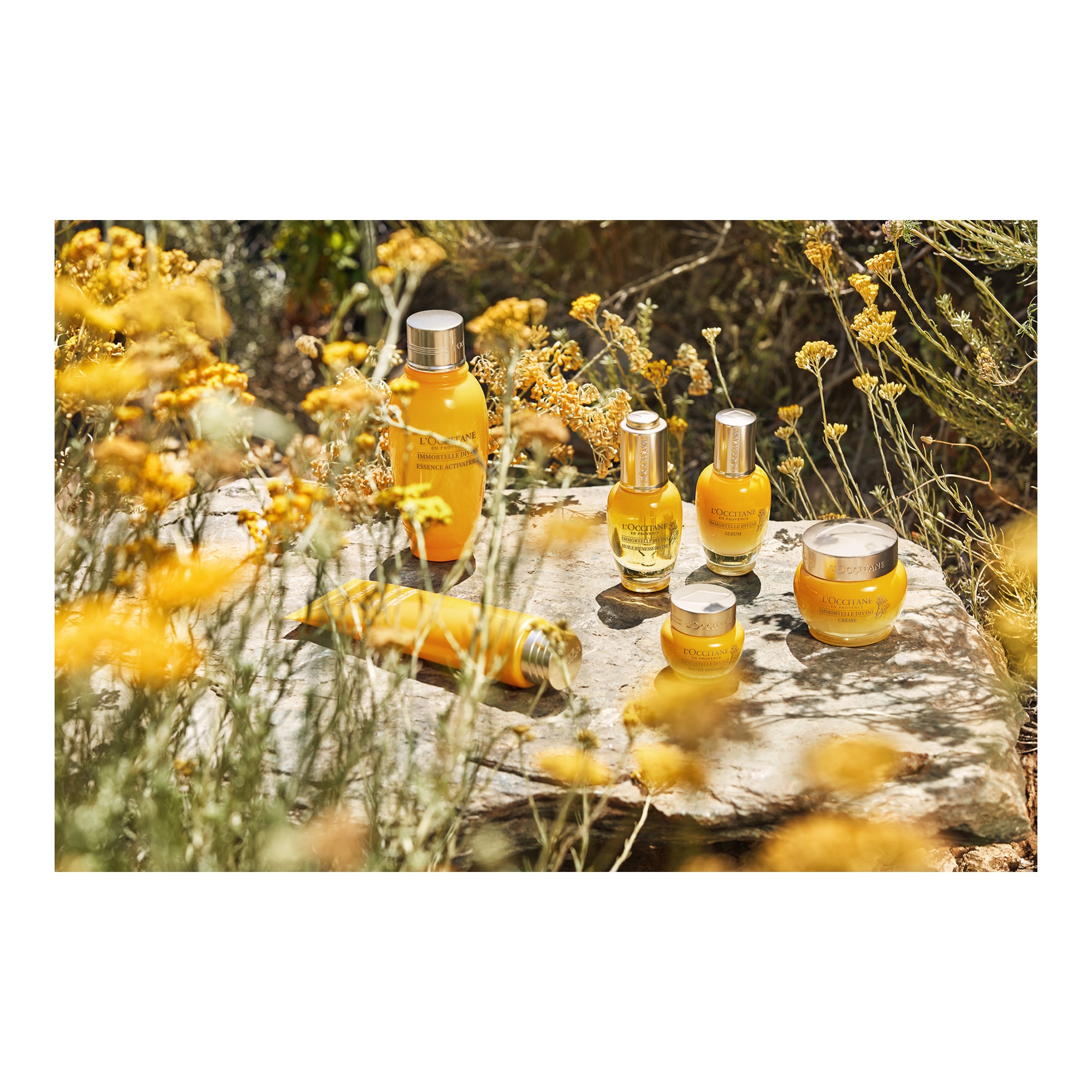 Immortelle Divine näokreem 50ml