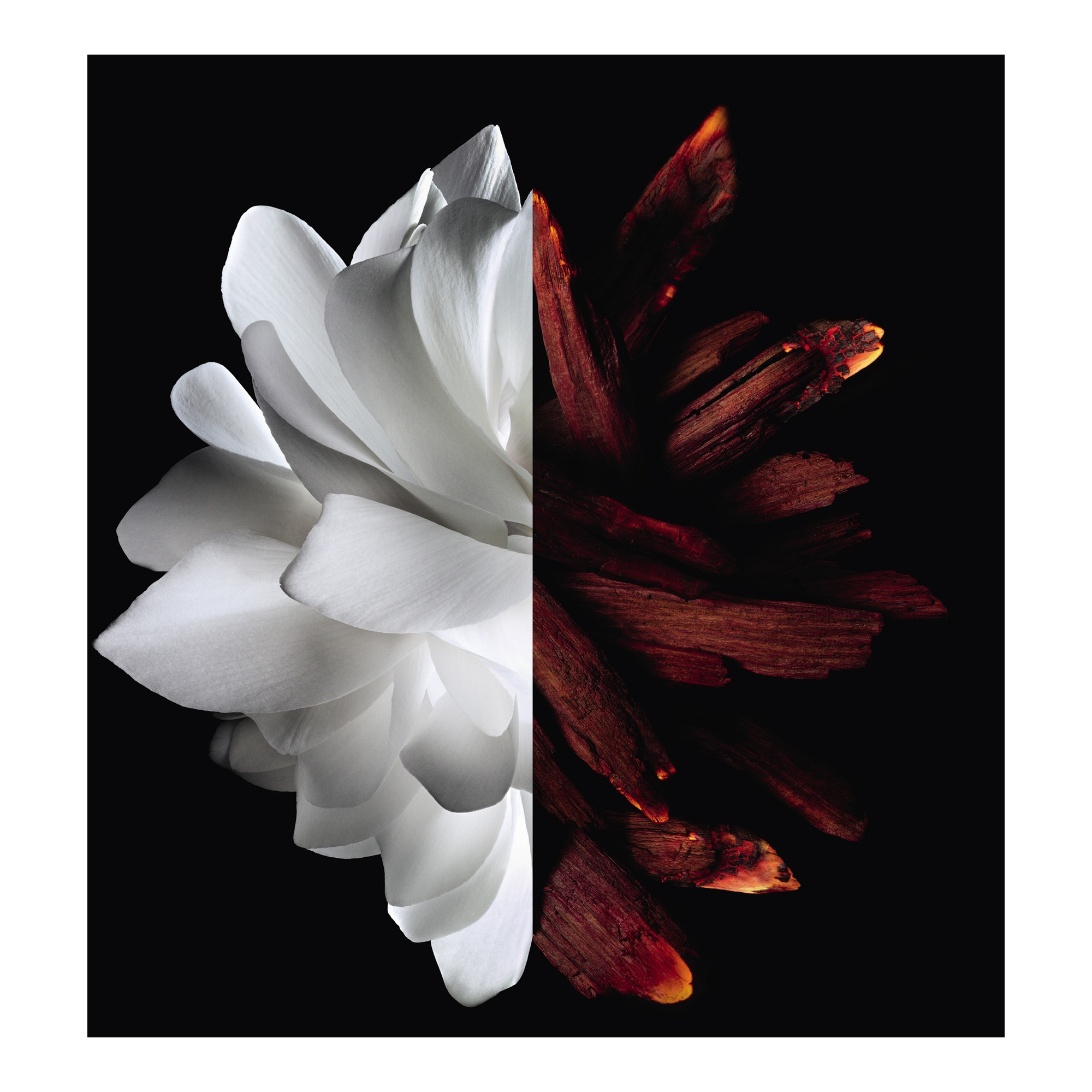 L'Interdit Rouge EdP 50ml