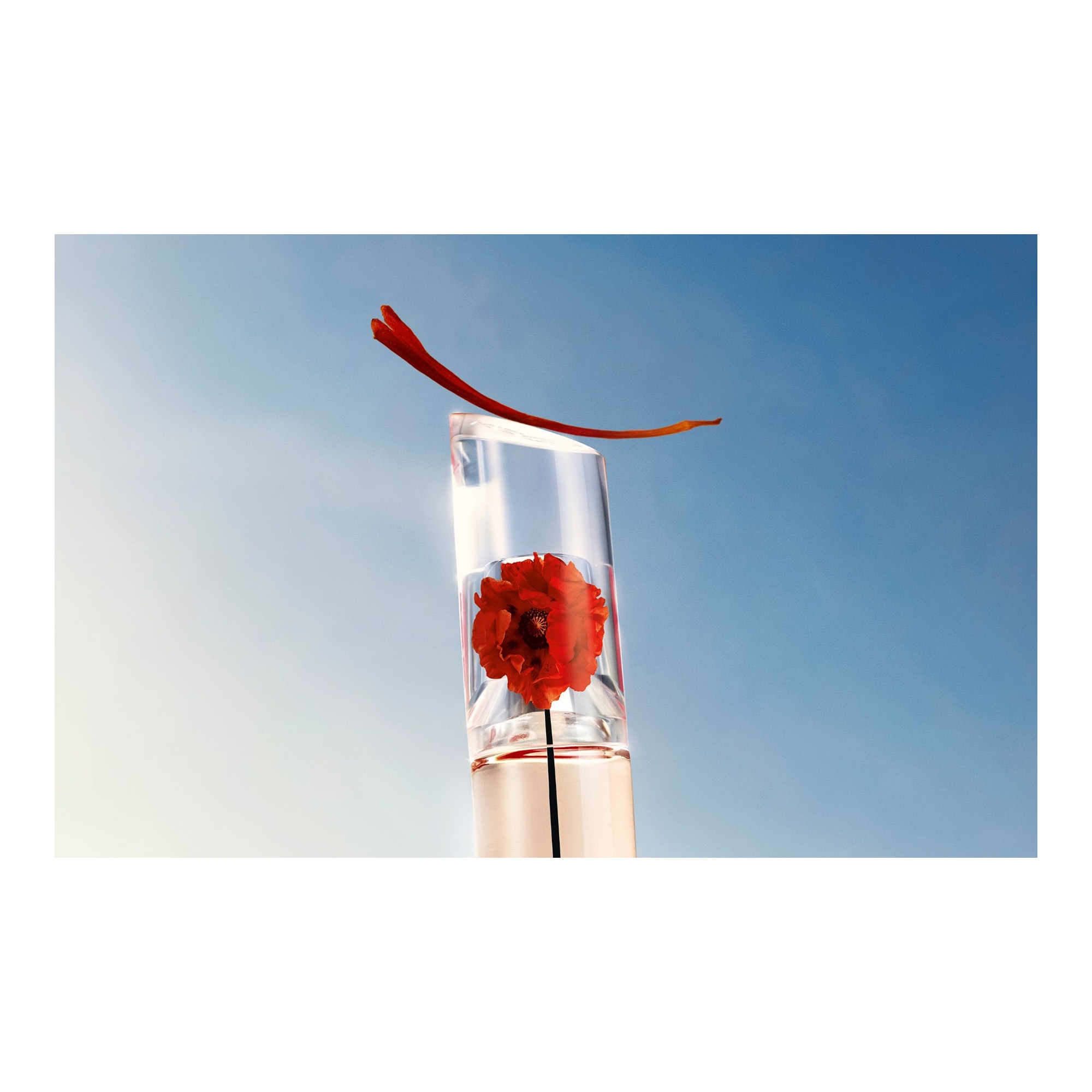 Flower by Kenzo L'absolue EdP 50ml