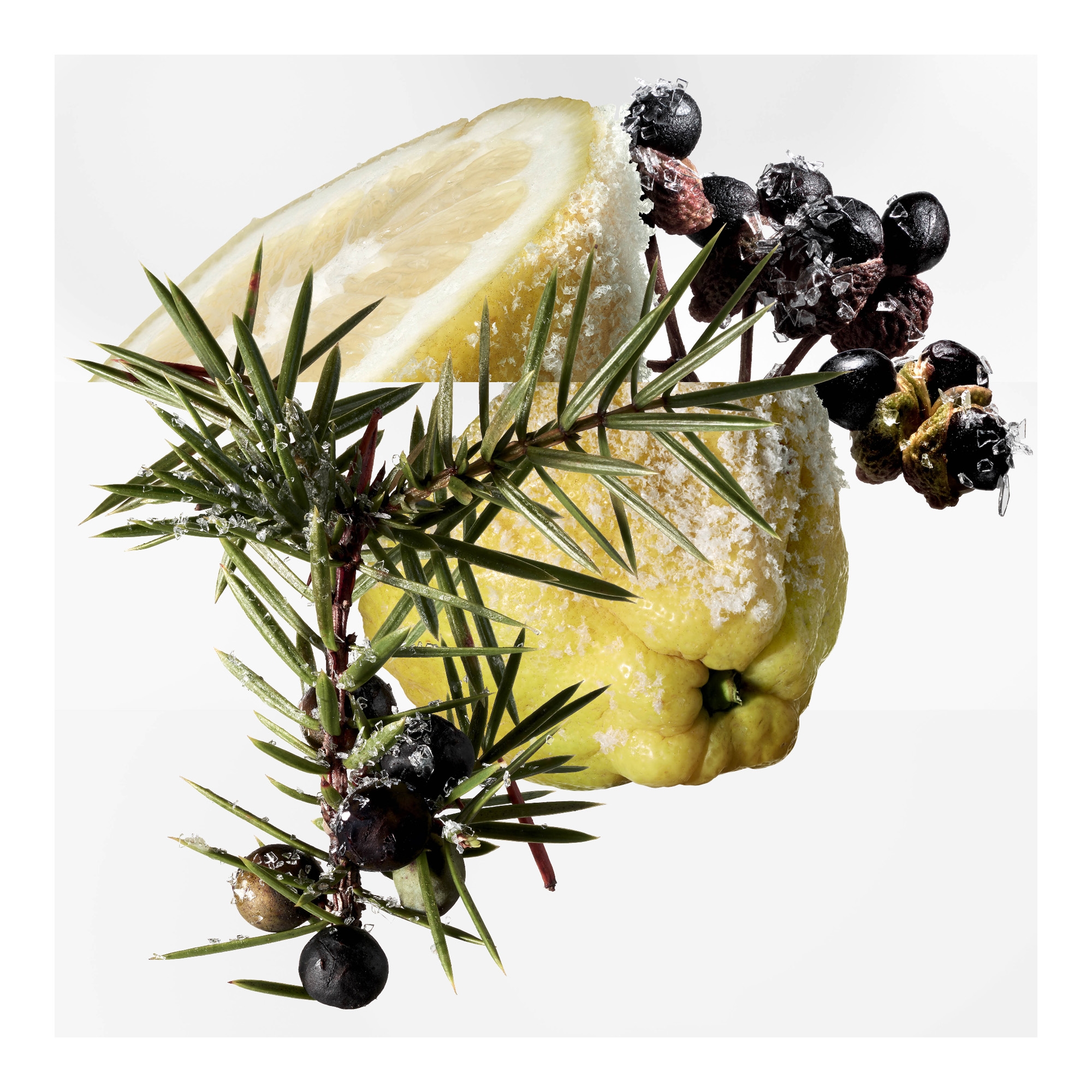 Terre d'Hermès Eau Givrée EdP sprei Refillable 50ml