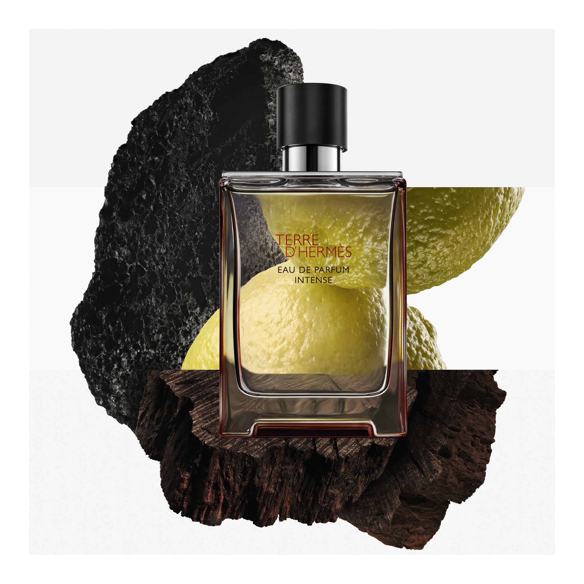 Terre d’Hermès EdP Intense 50ml