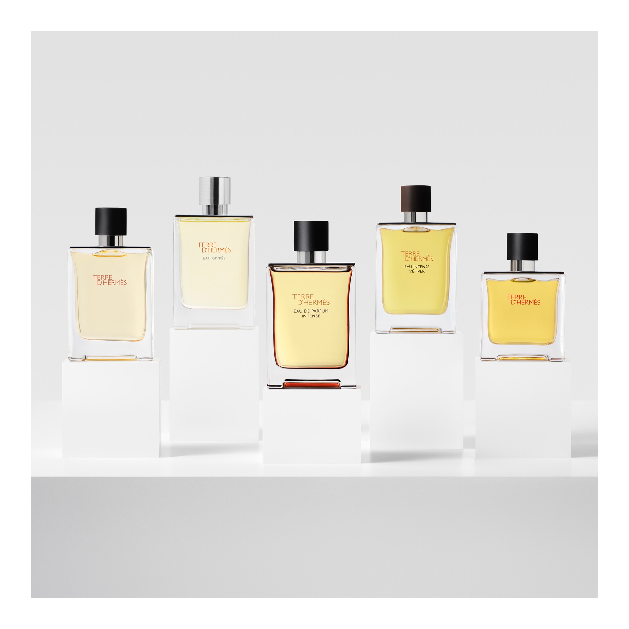 Terre d’Hermès EdP Intense 50ml