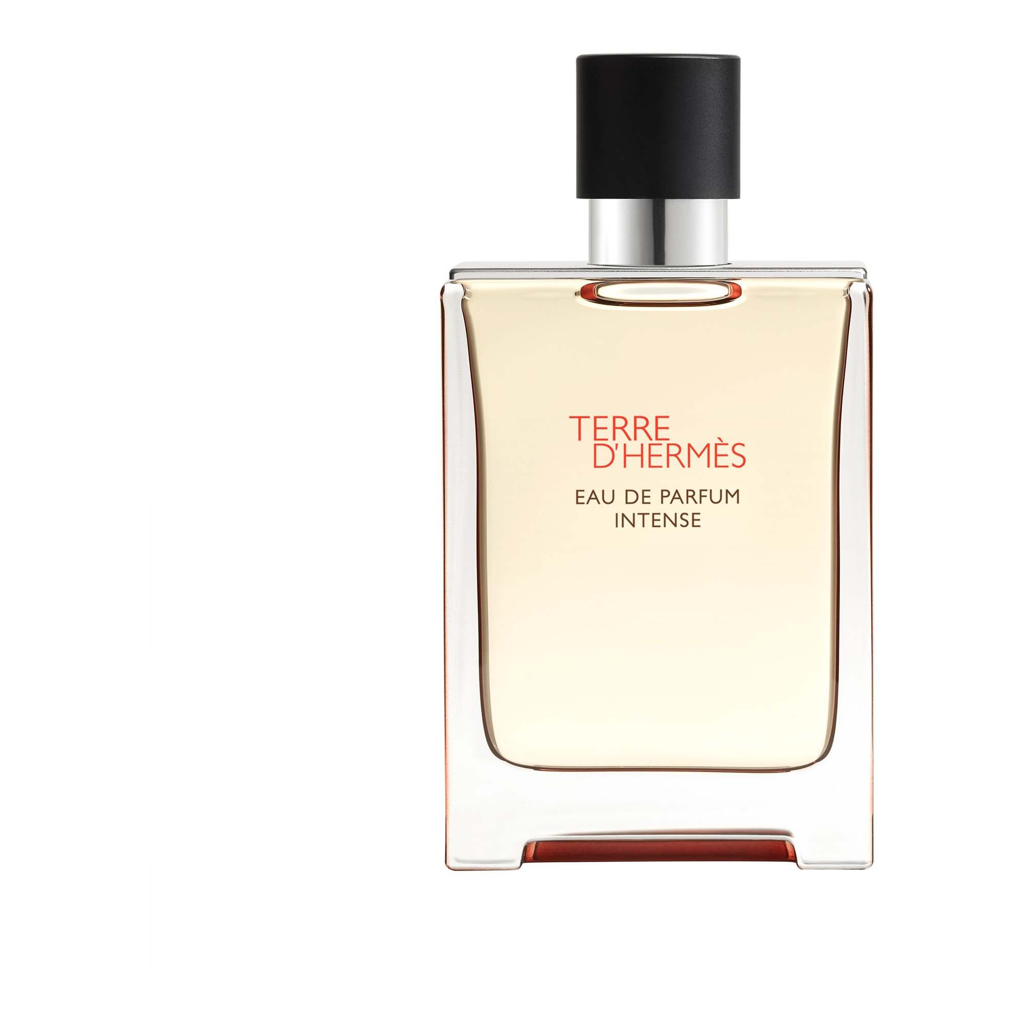 Terre d’Hermès EdP Intense 100ml
