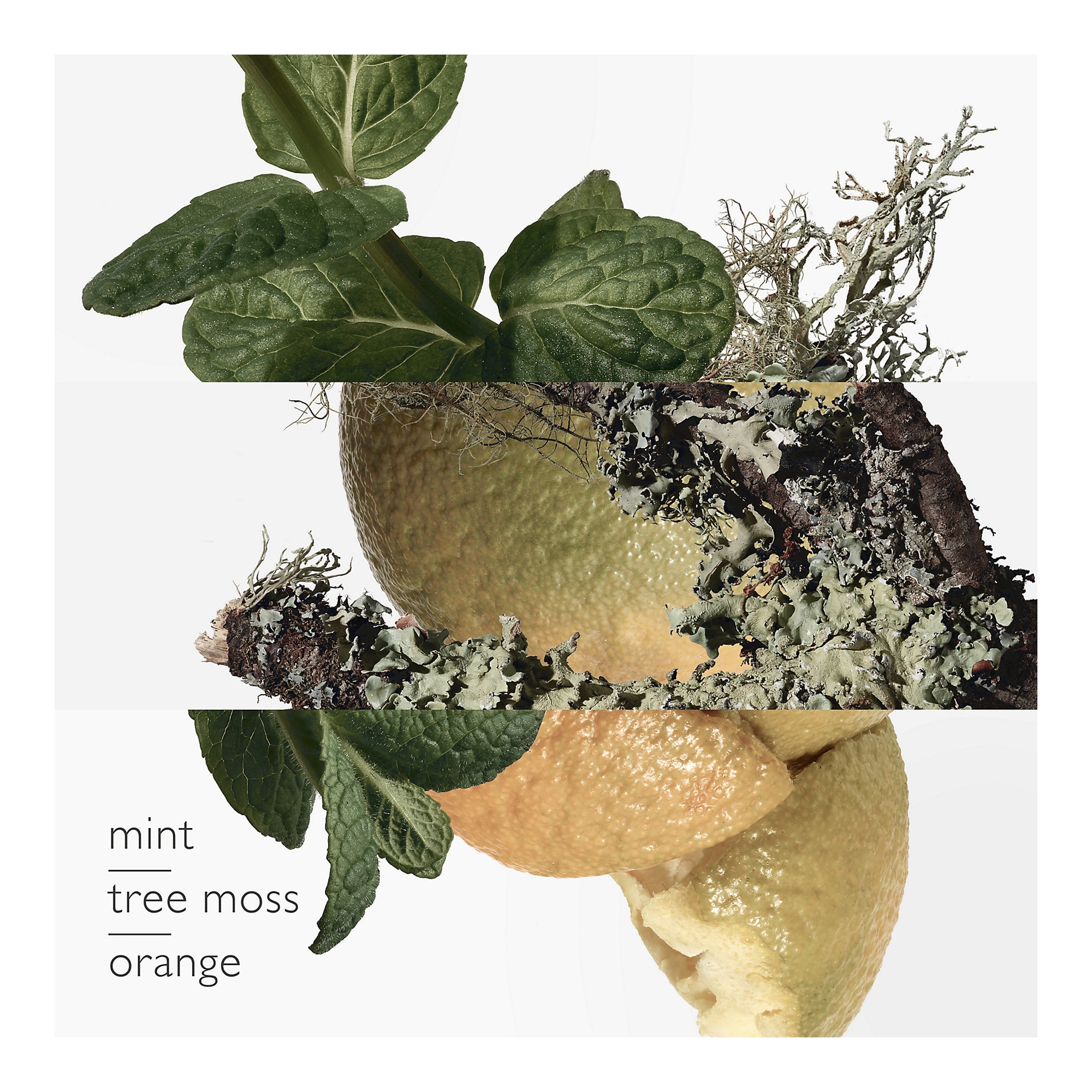 Eau d'Orange Verte spreideodorant 150ml