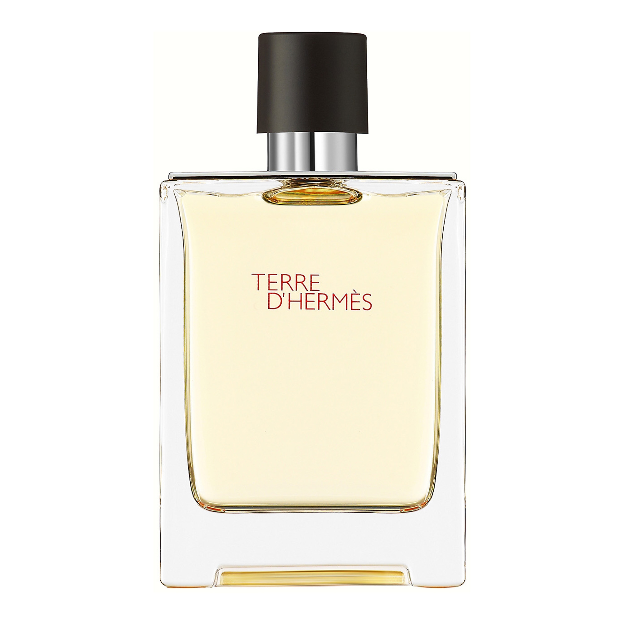 Terre d'Hermes EdT 100ml