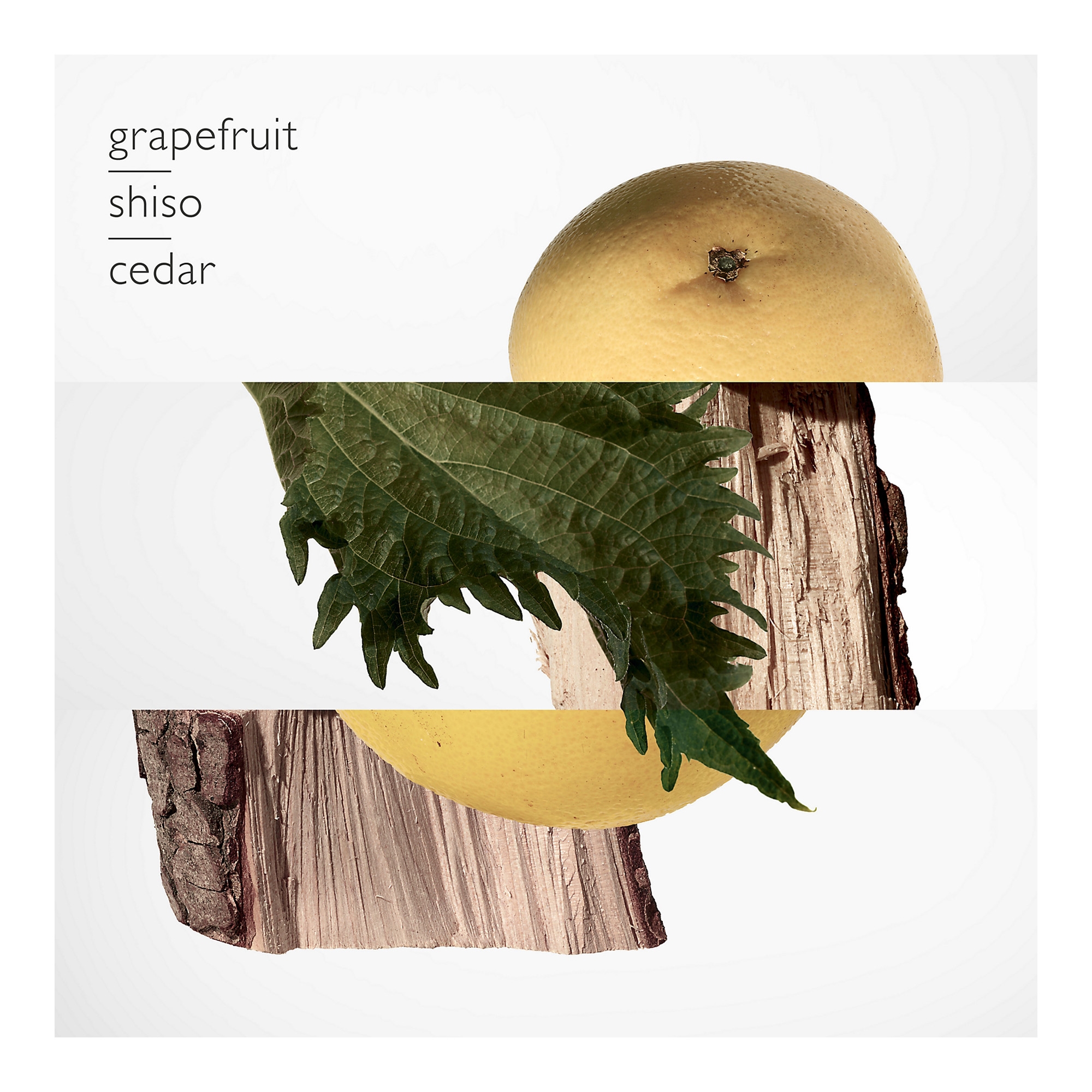 Terre d'Hermes EdP 75ml