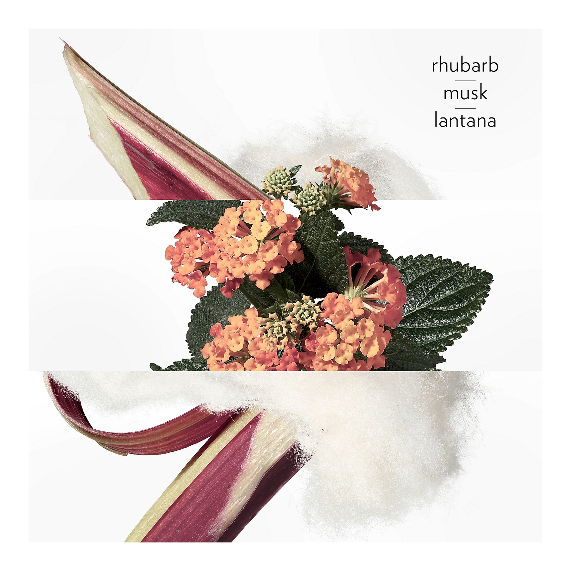 Eau de Rhubarbe Écarlate Eau de Cologne 50ml