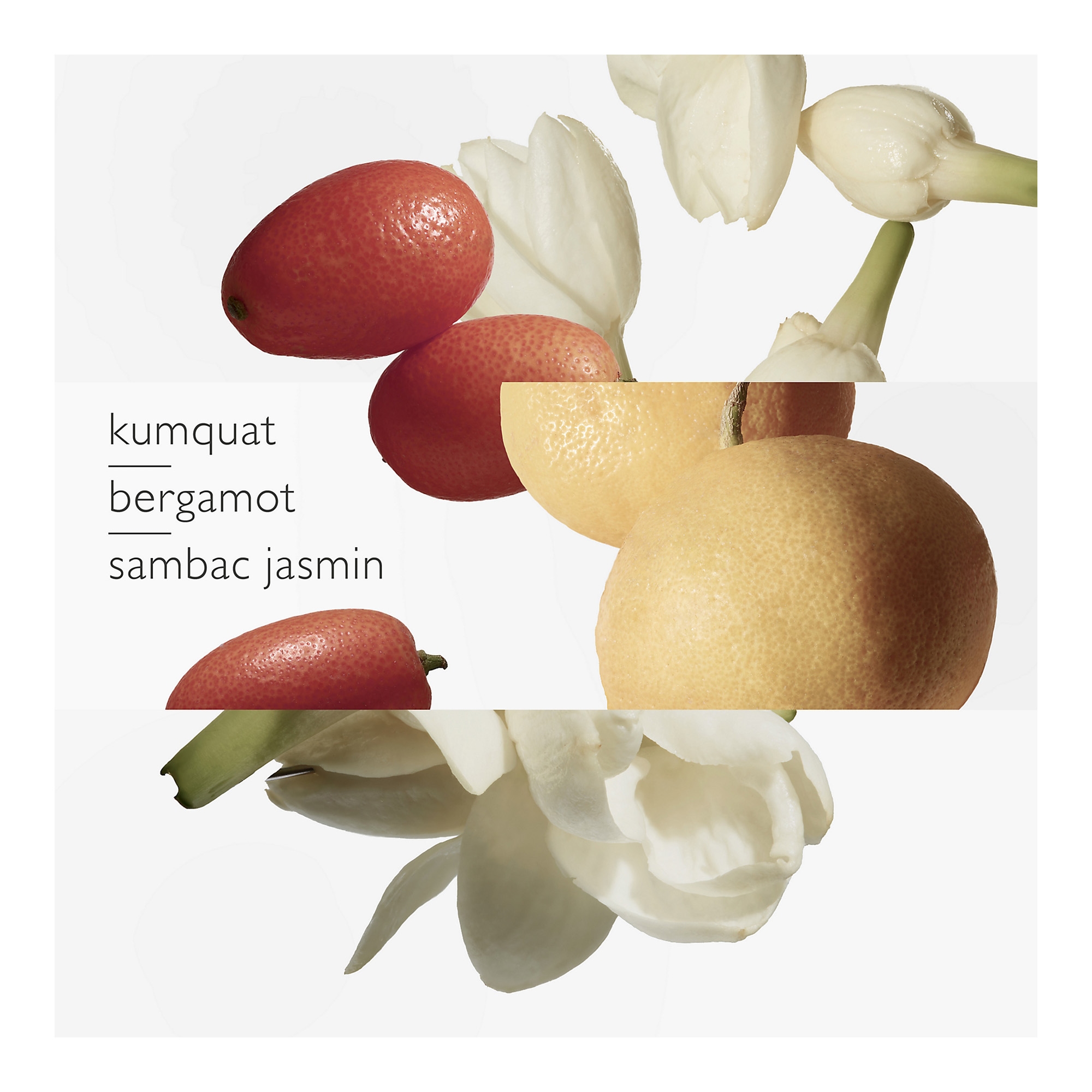 Le Jardin de Monsieur Li EdT 30ml