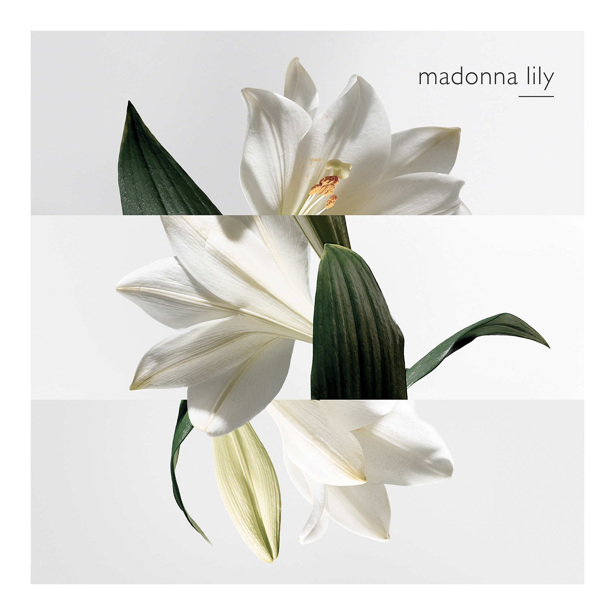 Un Jardin sur la Lagune EdT 50ml