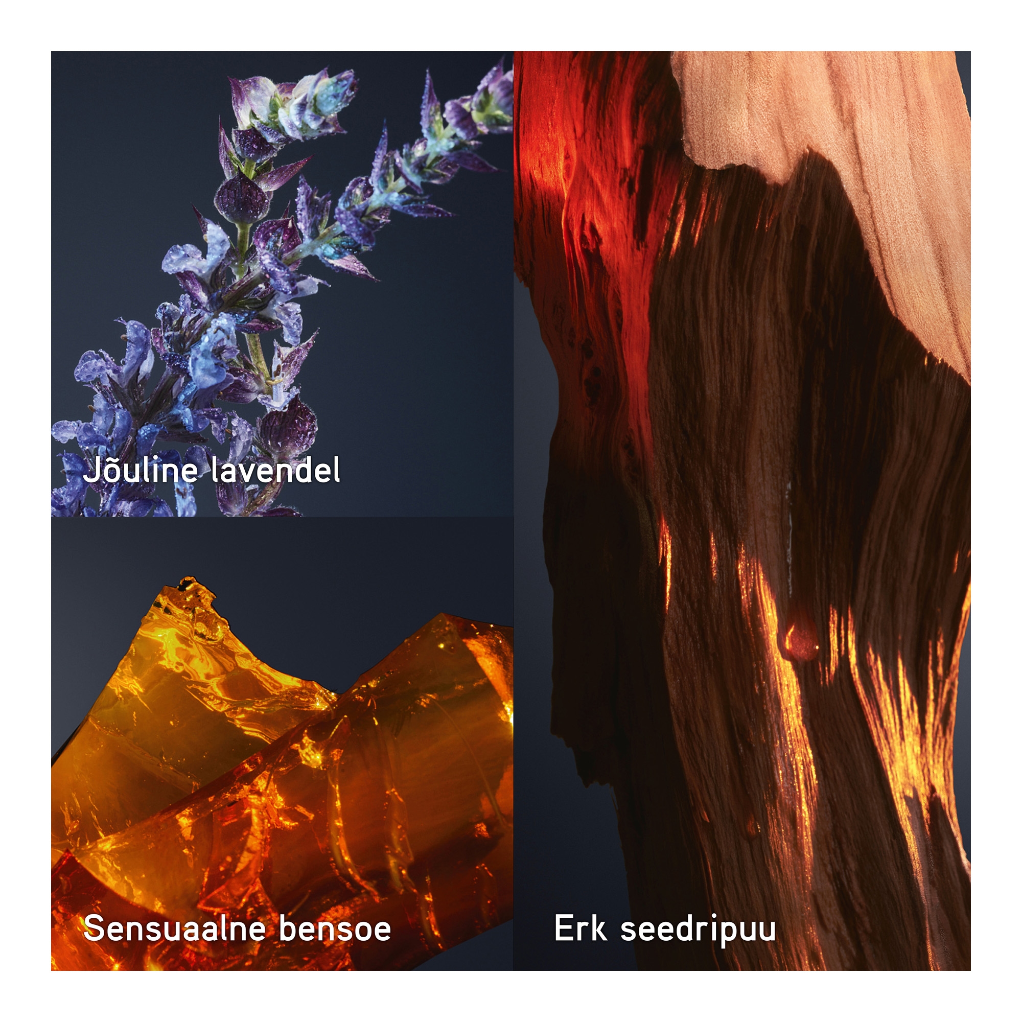 1 Million Royal EdP 100ml