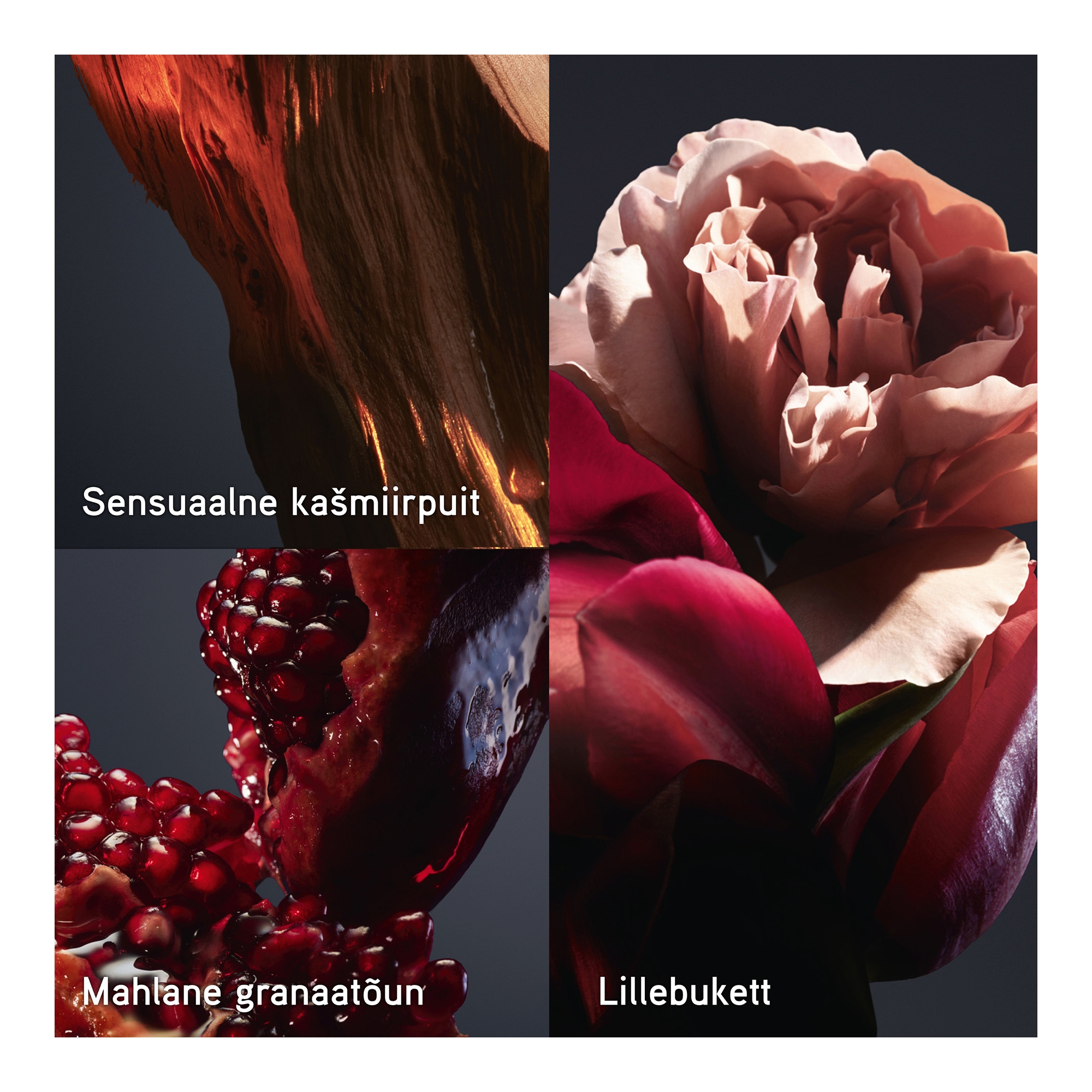 Lady Million Royal EdP 30ml