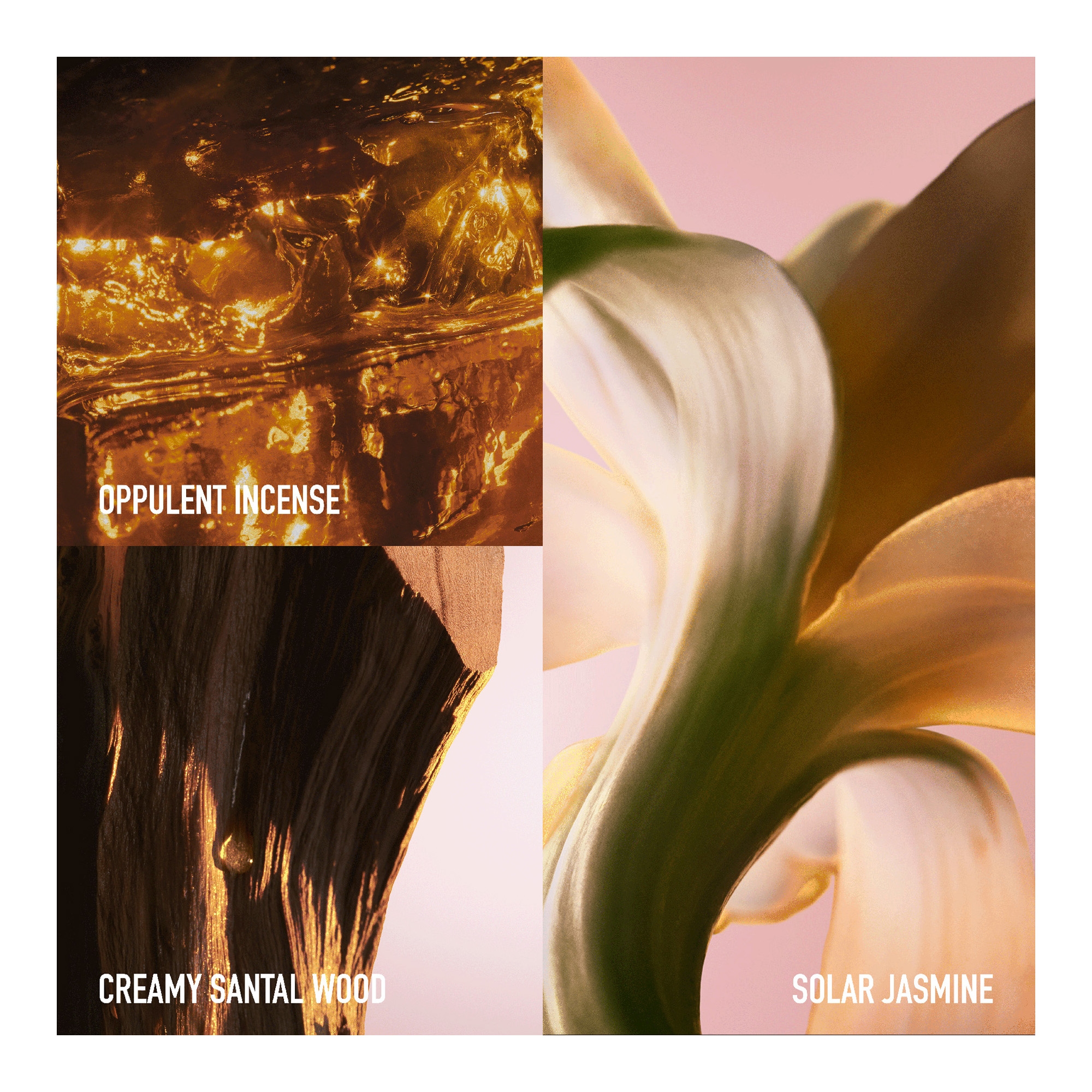 Fame Intense Edp 30ml