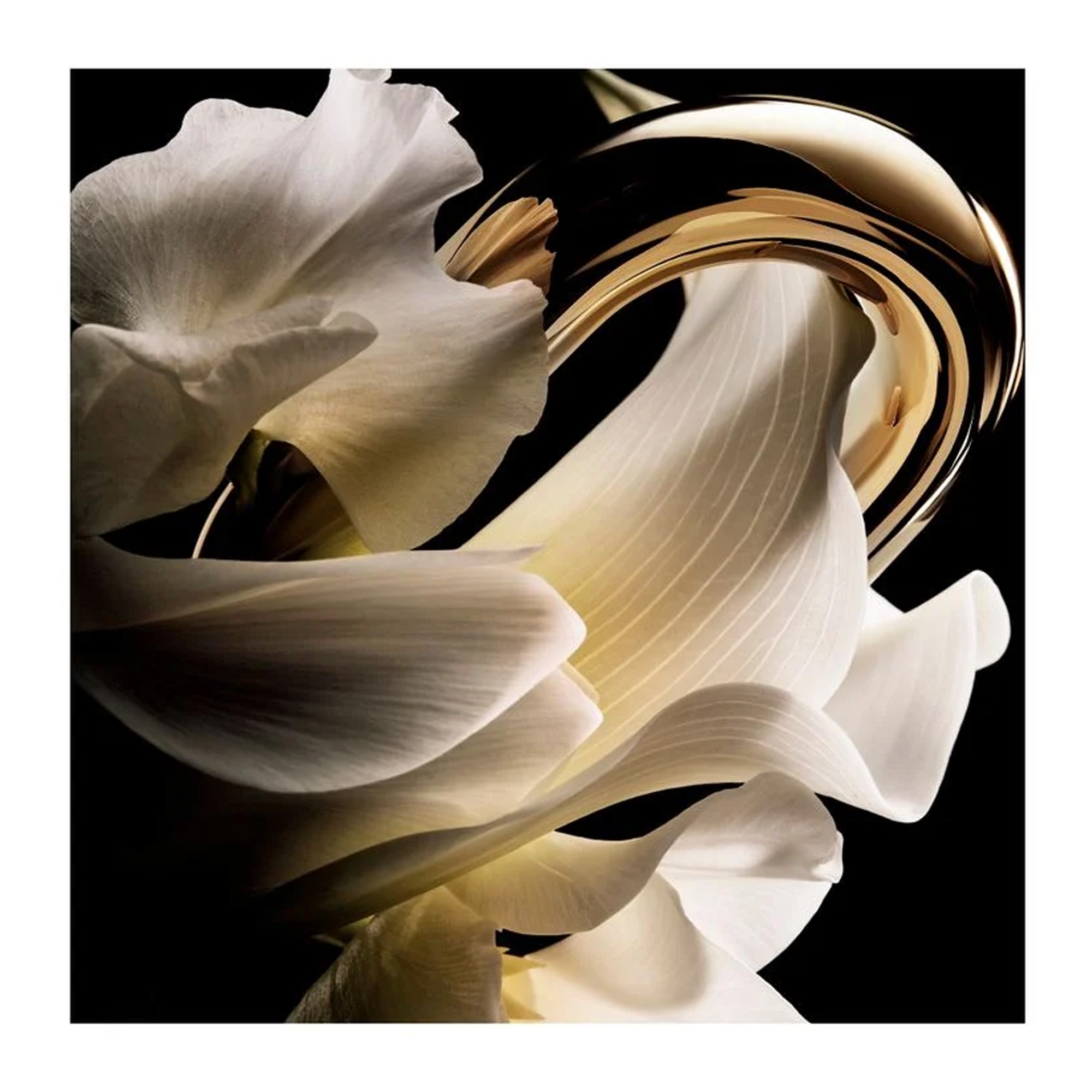 Million Gold Her EdP 30ml