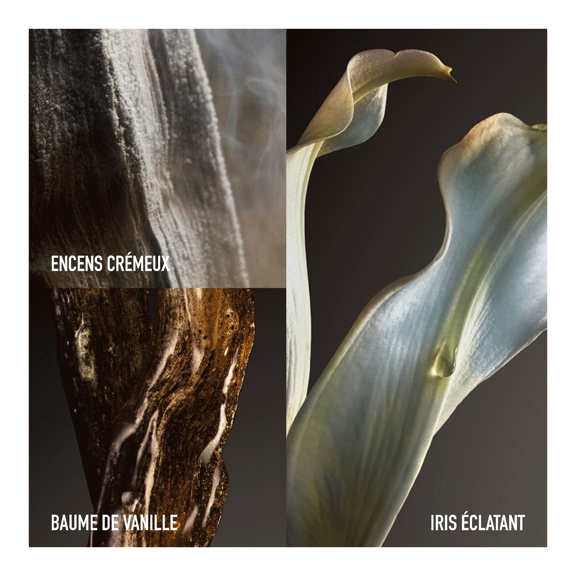 Fame The Couture EdP 80ml