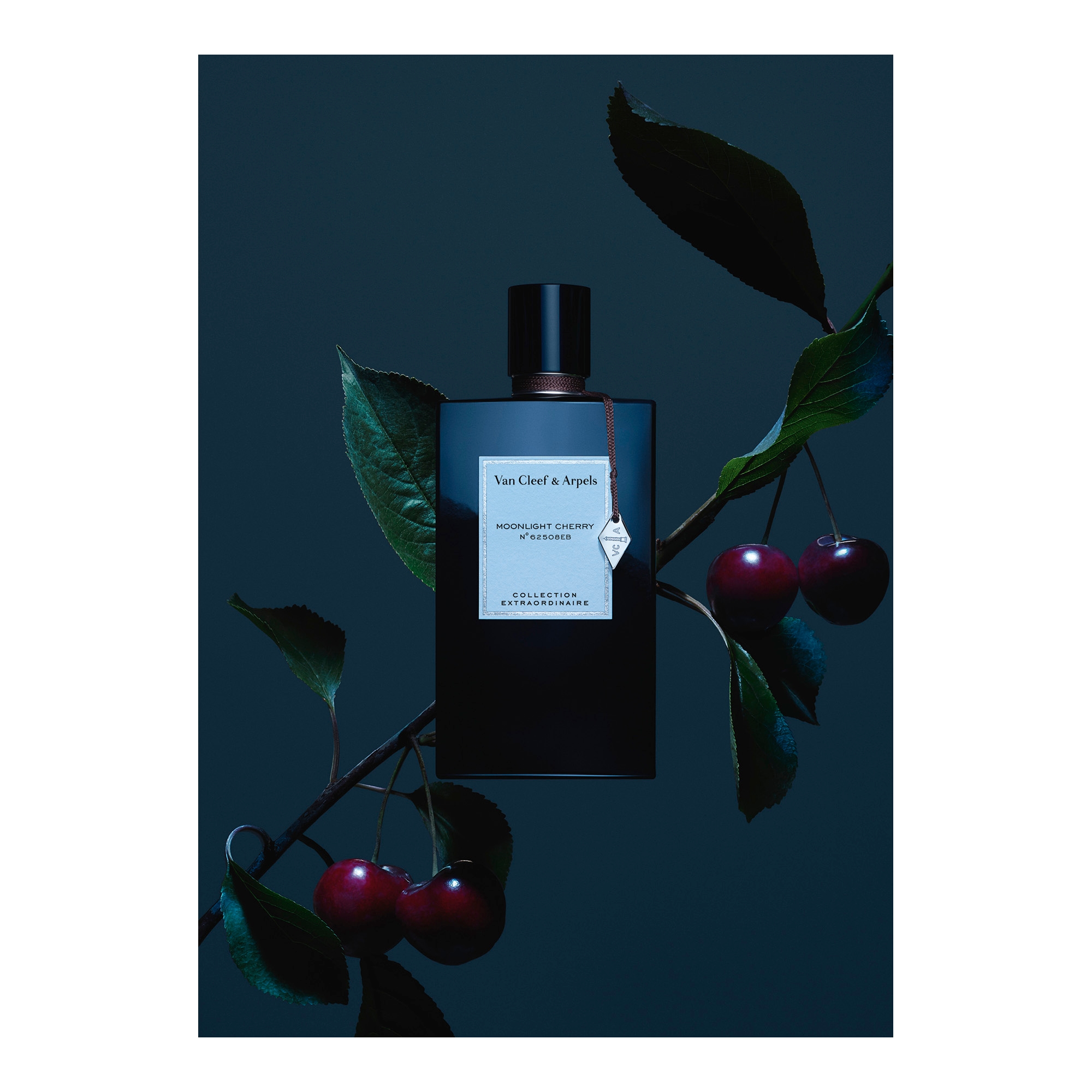Moonlight Cherry 75ml