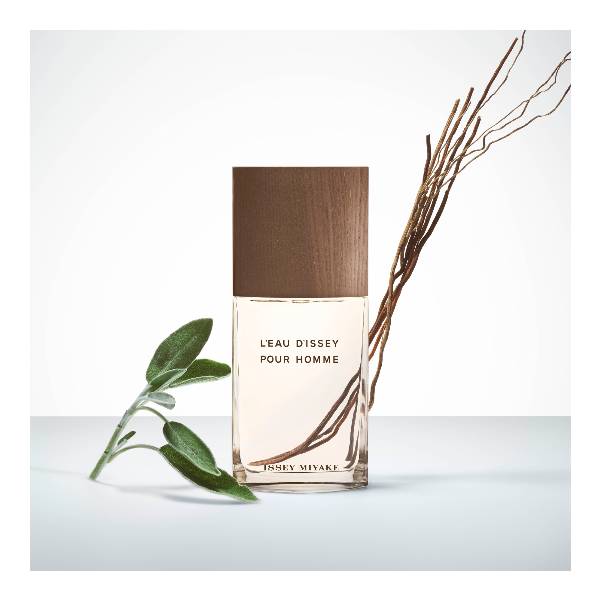 Leau D'issey Pour Homme Vetiver EdT 100ml