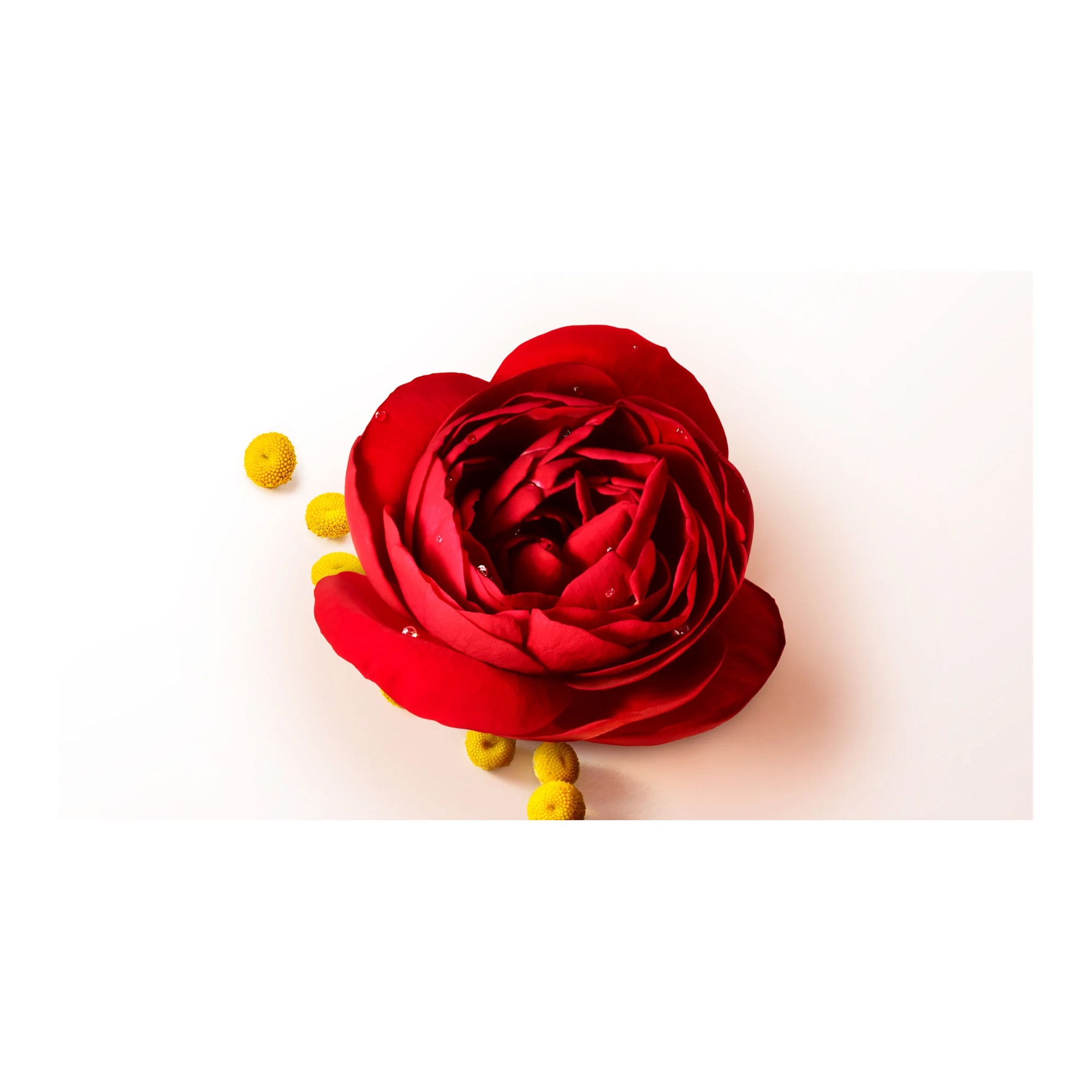 Sì Intense EdP 30ml