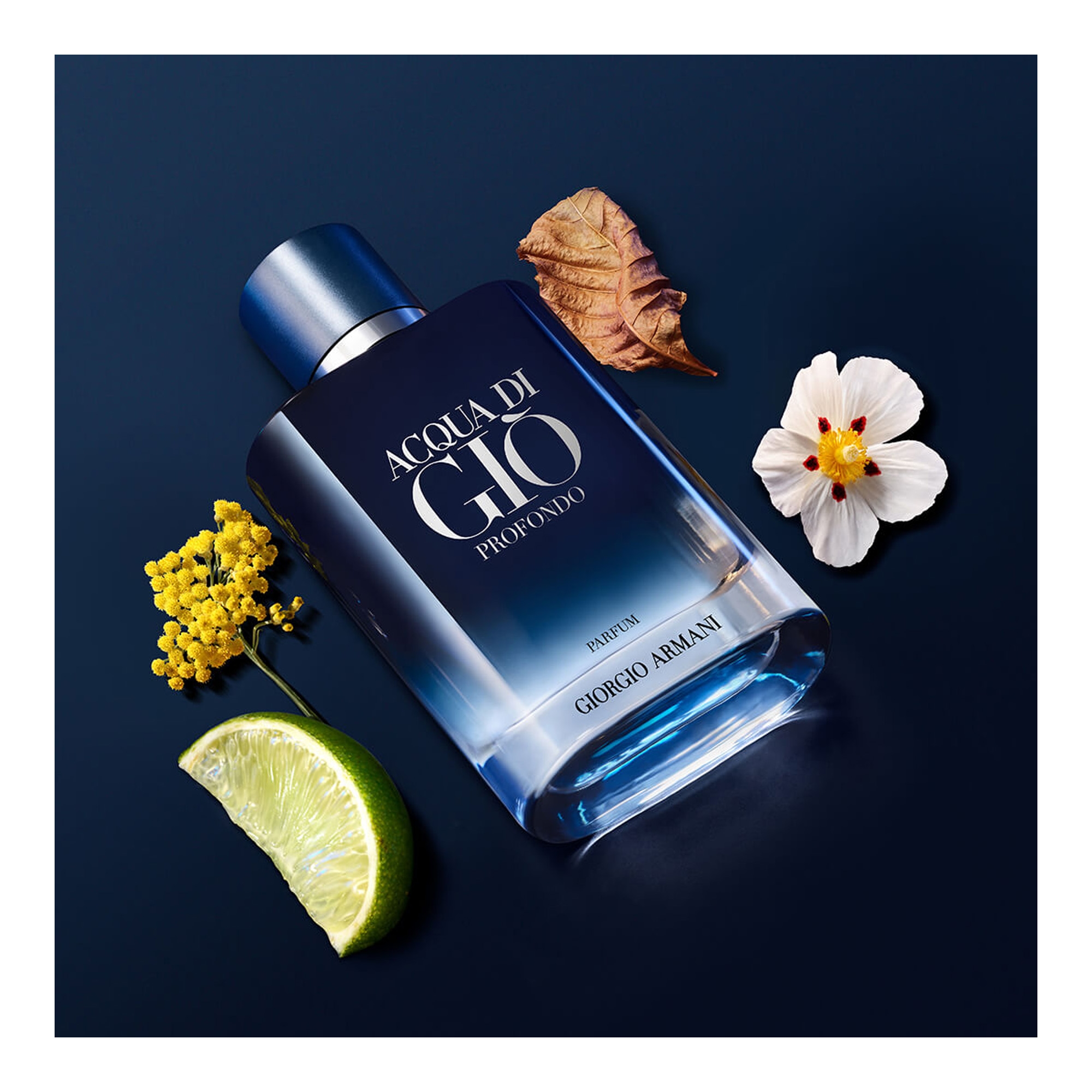 Aqua Di Gio Homme Profondo Parfum 100ml