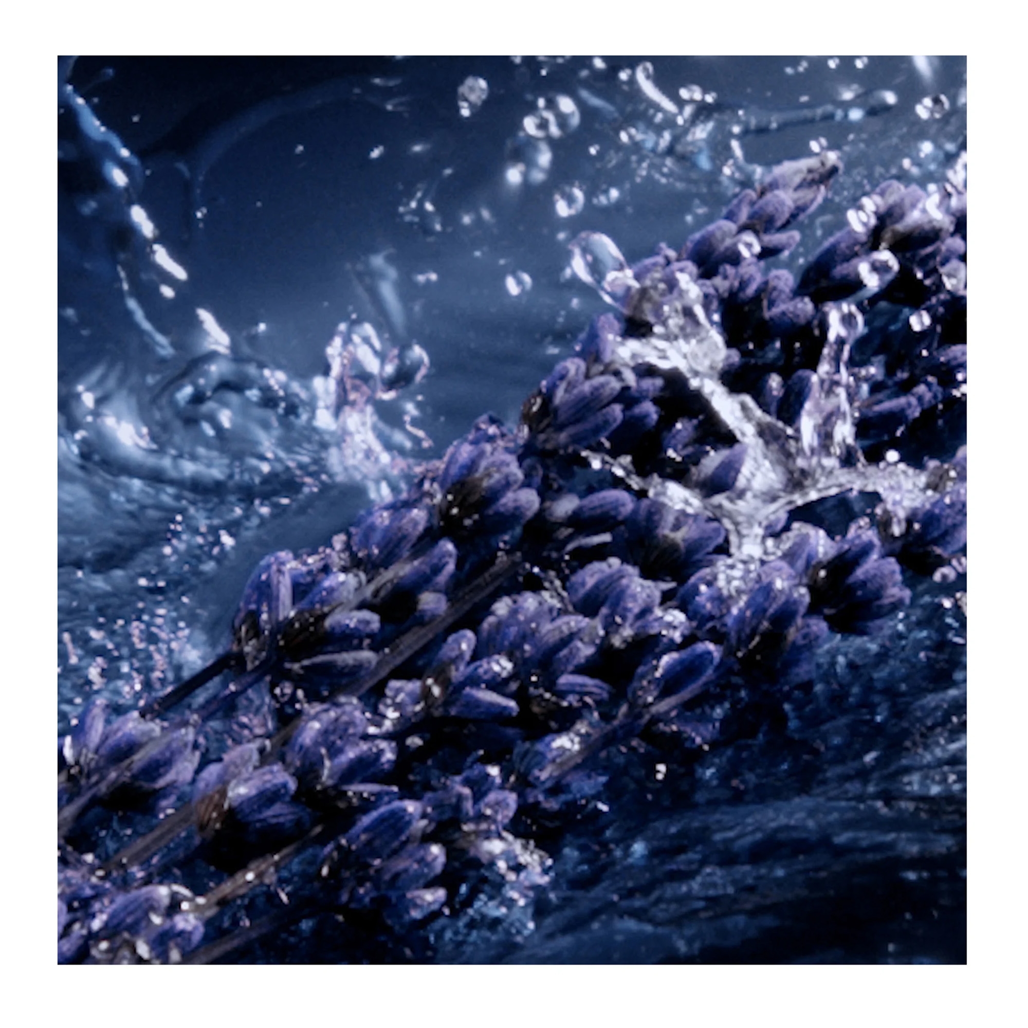 Y L’Elixir Parfum 60ml