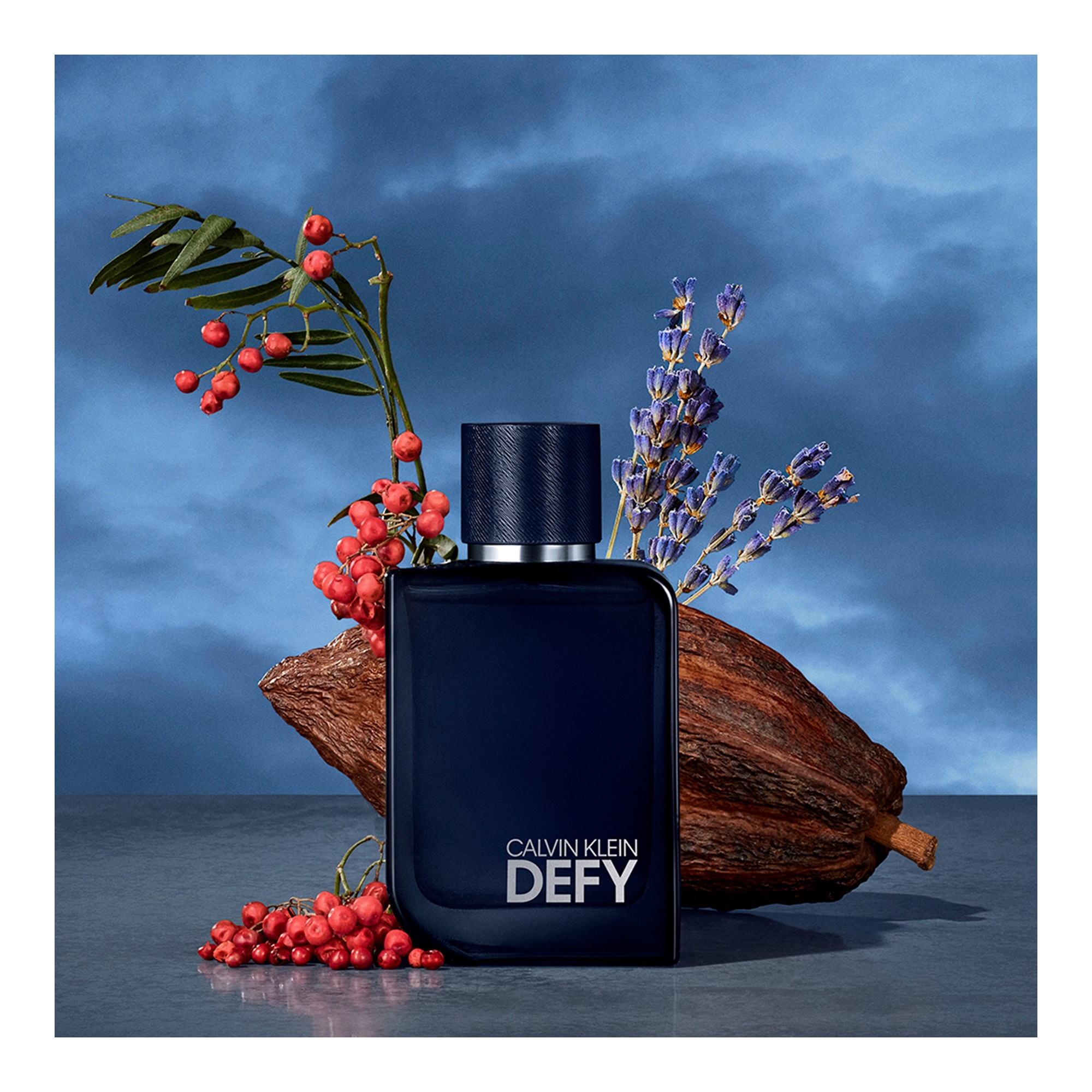 Defy Parfum 100ml