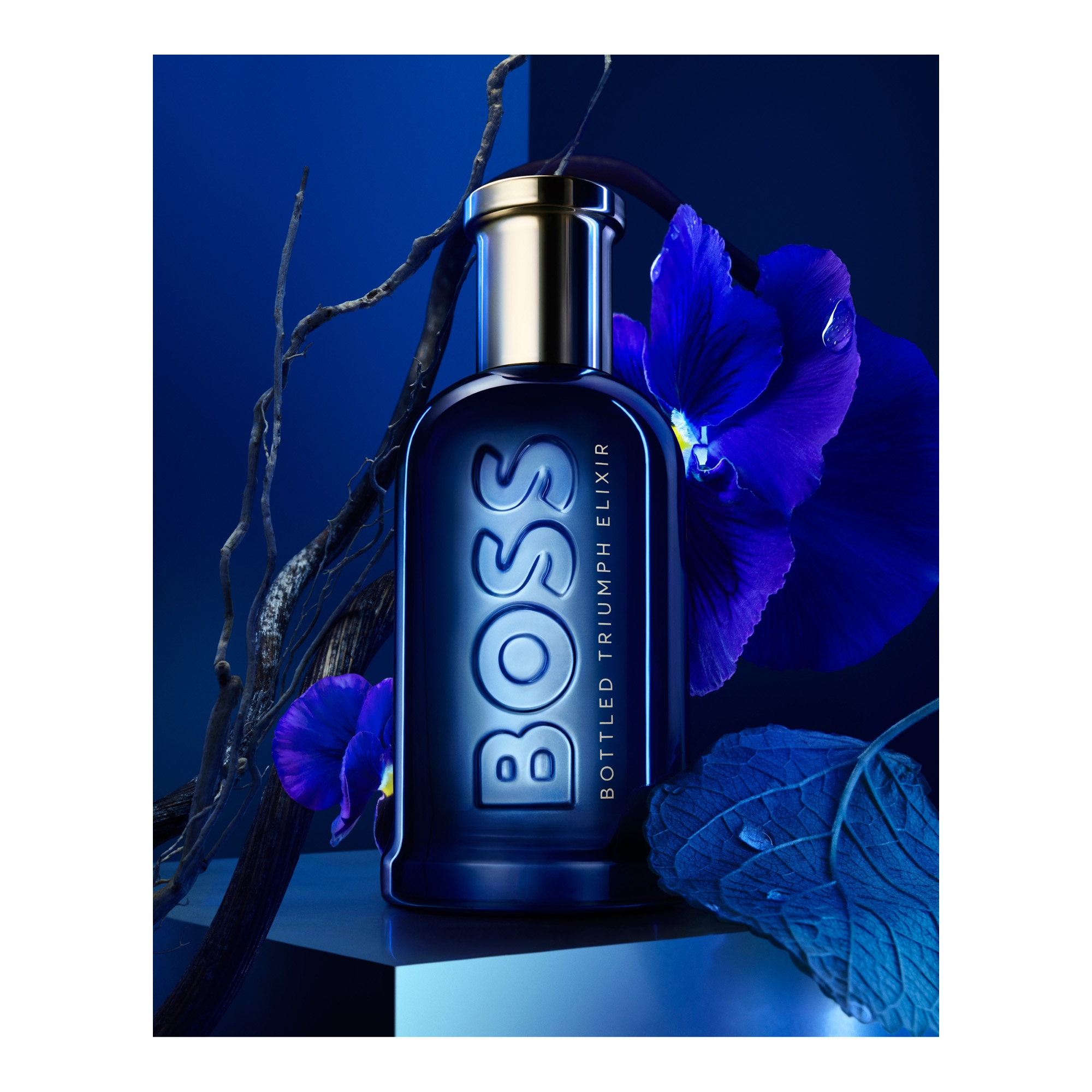 Boss Bottled Triumph Elixir Parfum 100ml