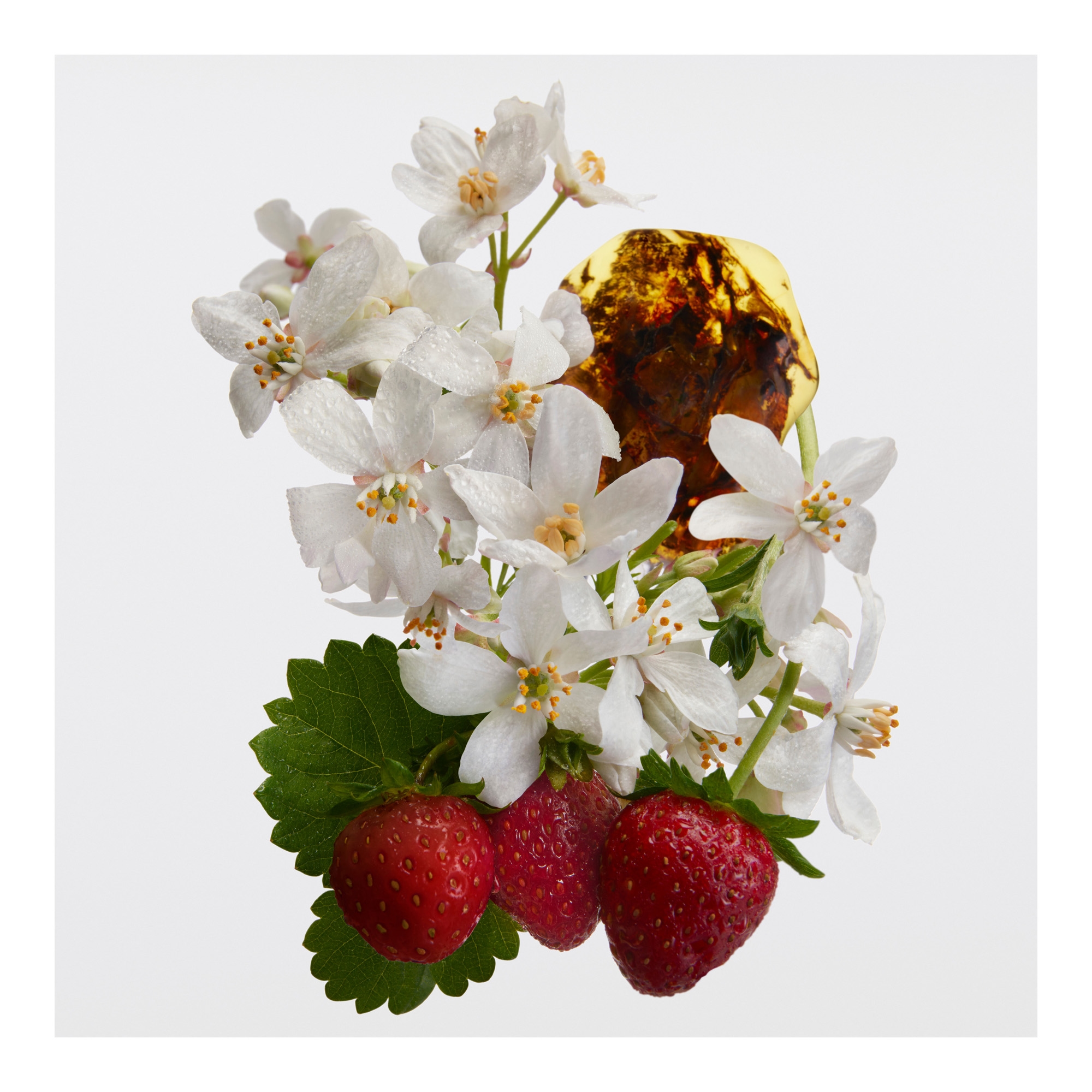 Her EdP Intense 50ml