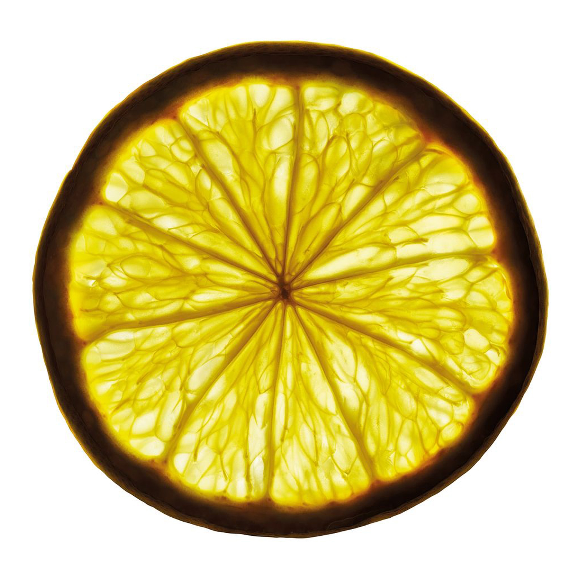 Bottled Bold Citrus EdP 50ml