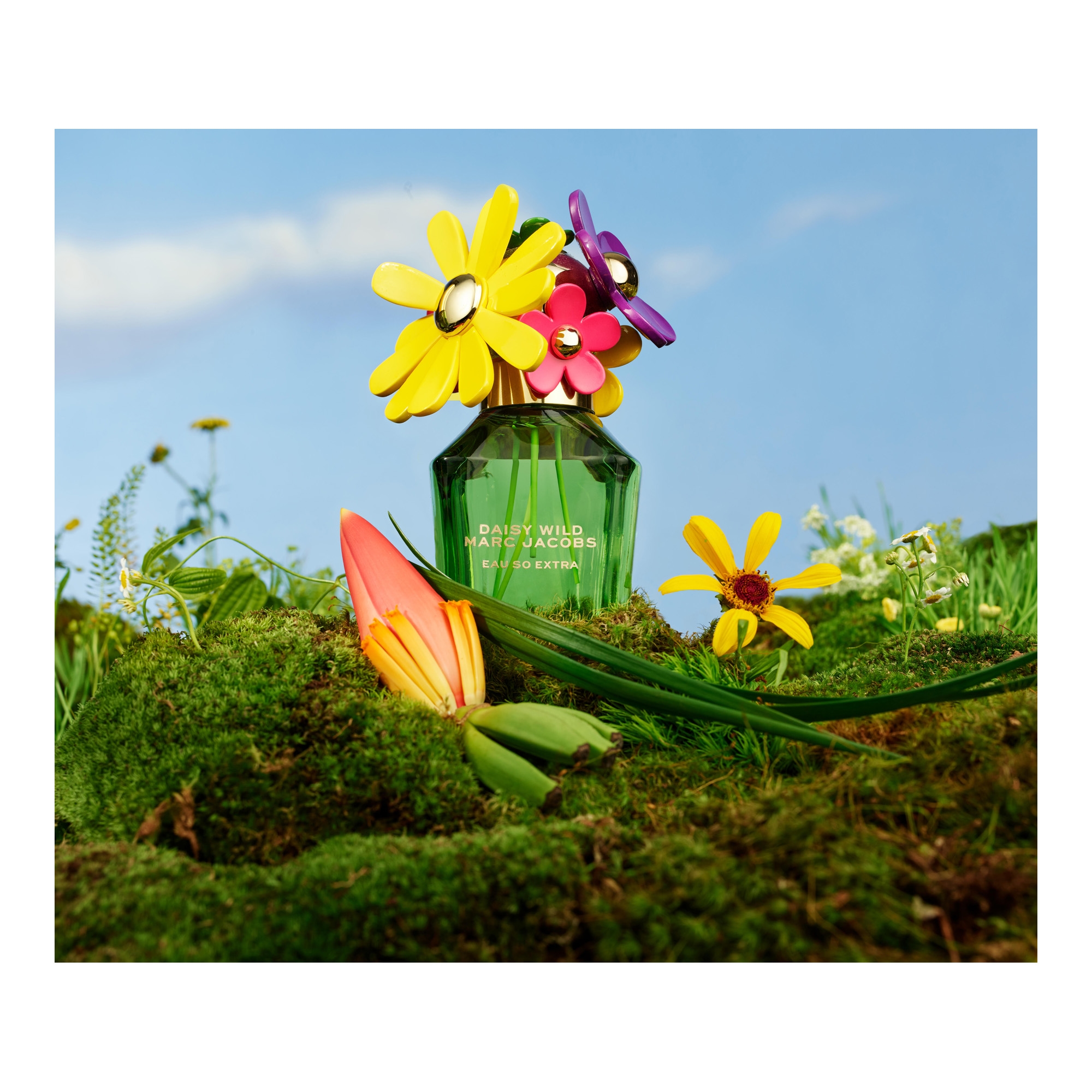 Daisy Wild Eau So Extra EdP 50ml