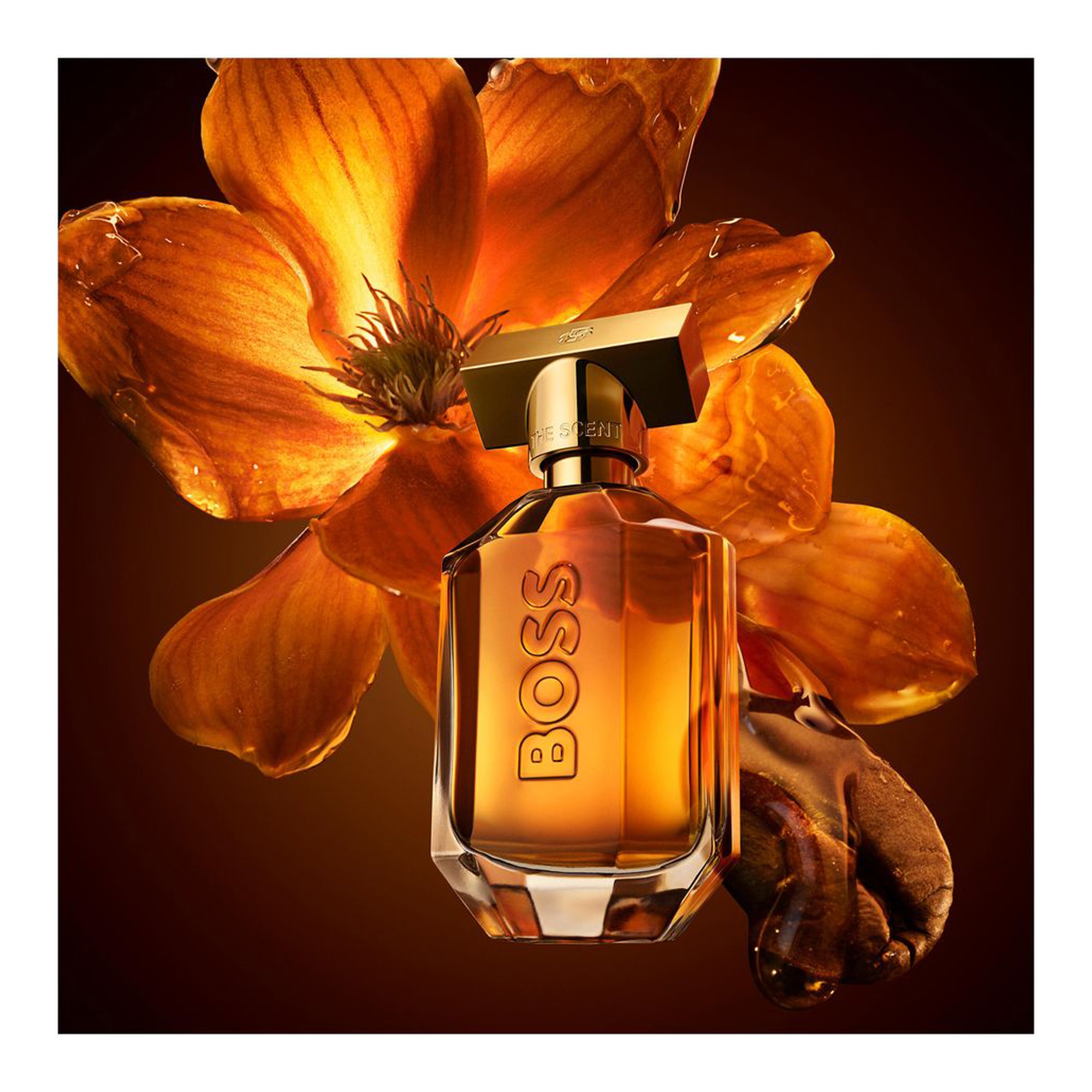 The Scent Intense EdP 50ml