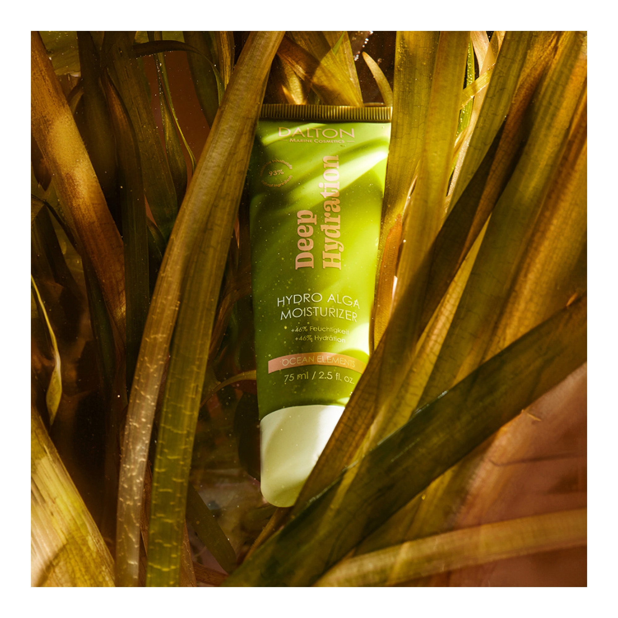 Ocean Elements sügavniisutav vetikaekstraktiga niisutav kreem 75ml