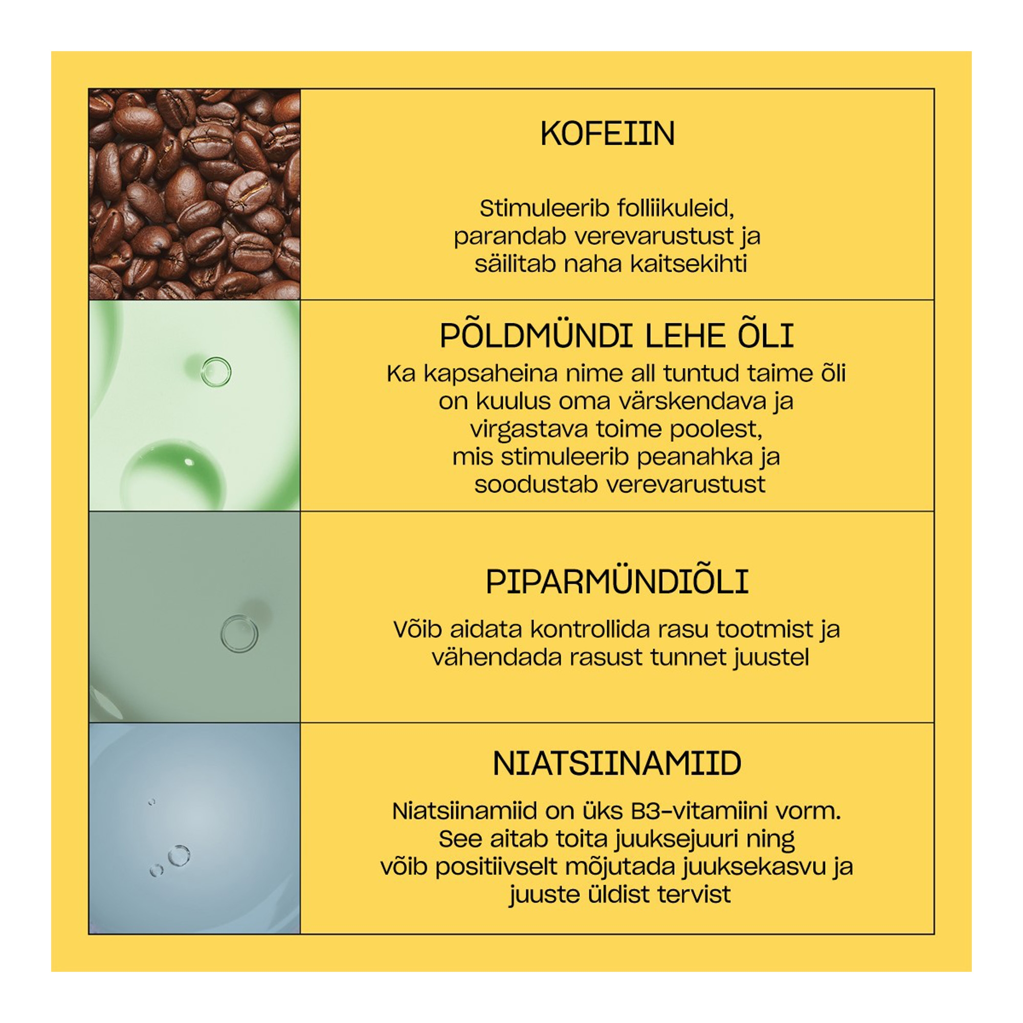 3-osaline peanahka hooldav ja juukseid tihendav hooldus 150ml+150ml+50ml