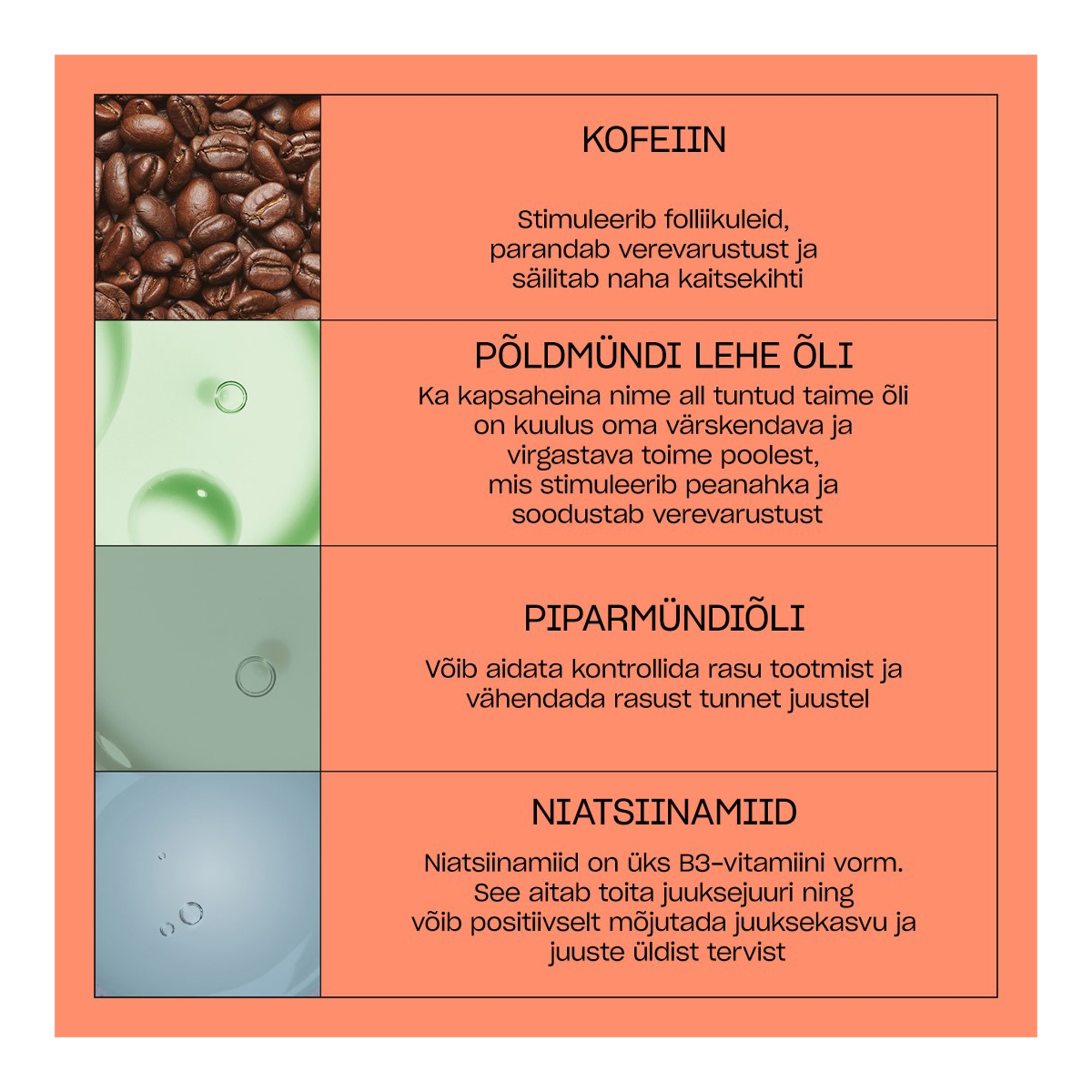 3-osaline peanahka hooldav ja juukseid tihendav hooldus 150ml+150ml+40ml