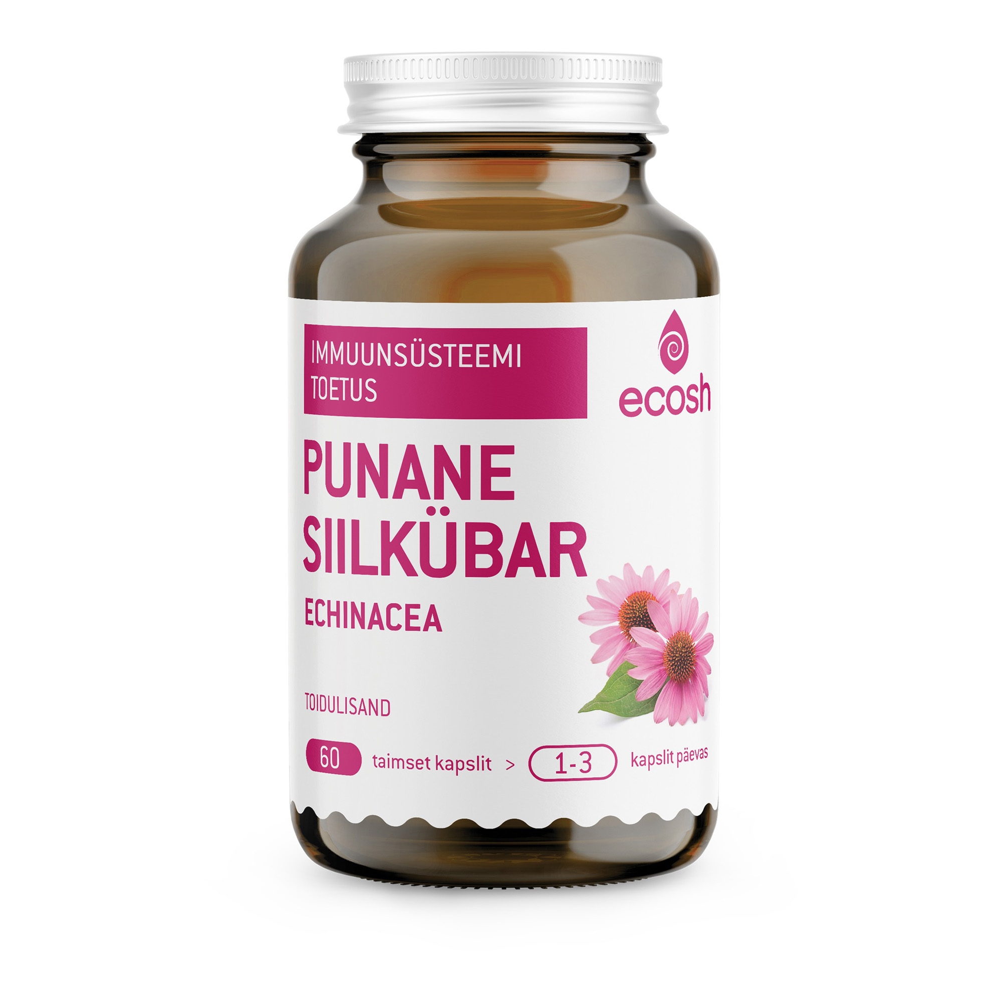 Punane siilkübar - Echinacea 60tk