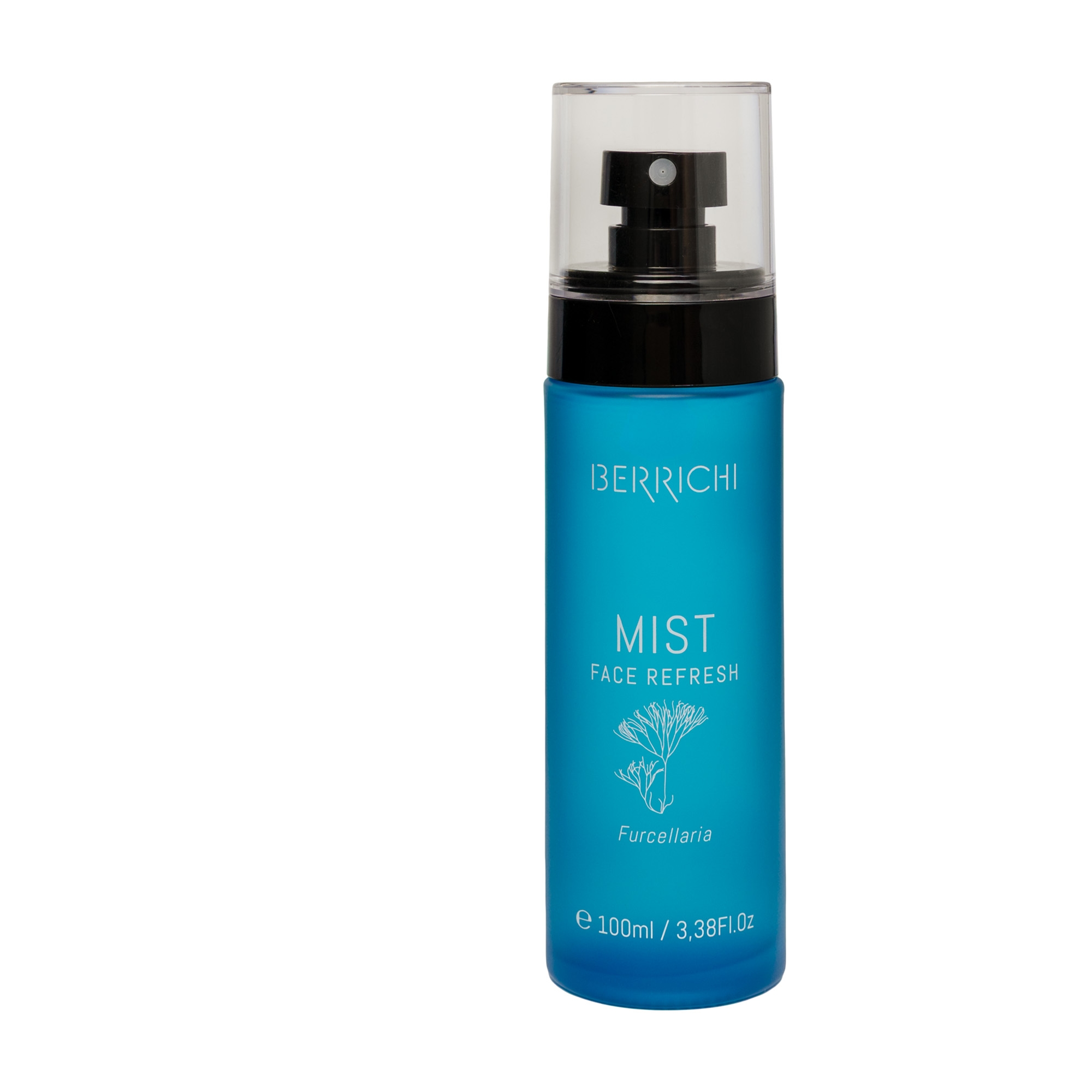 Berrichi näosprei 100ml