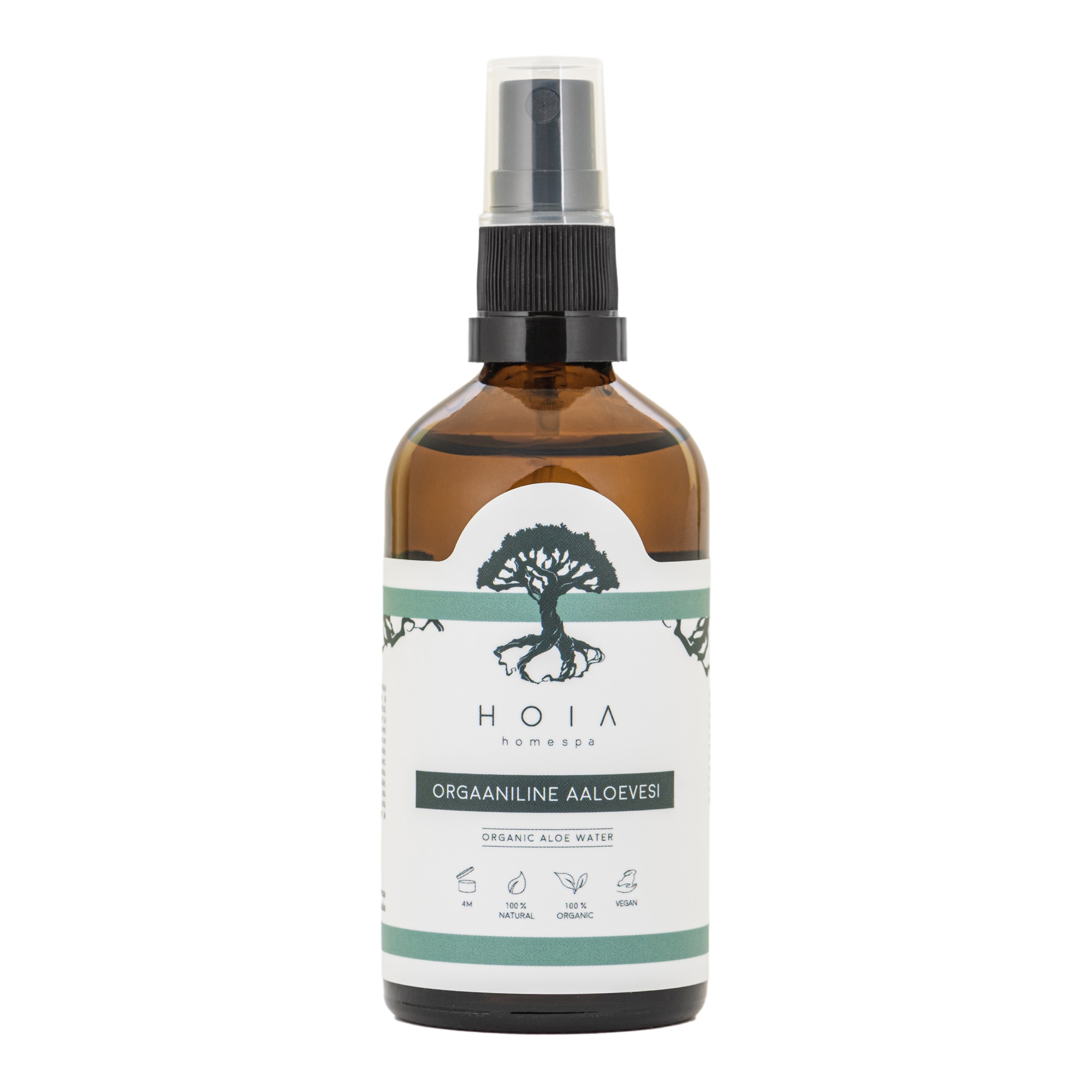 Orgaaniline Aaloesprei 100ml