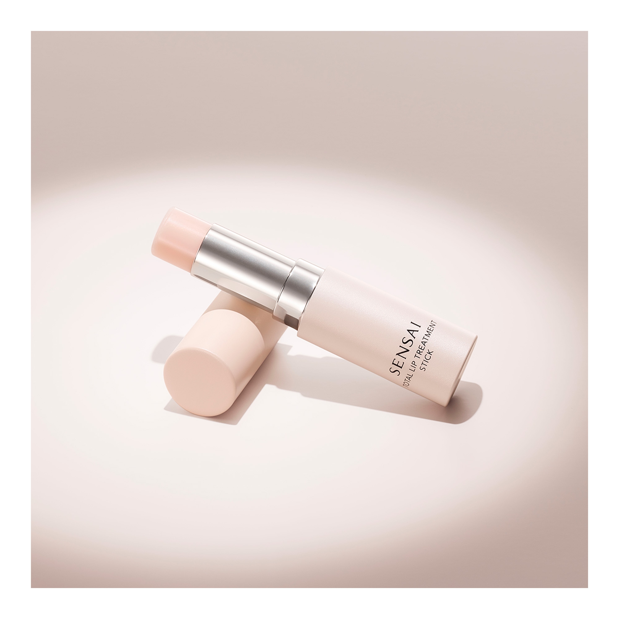 Total Lip Treatment Stick hooldav huulepulk 5,2g