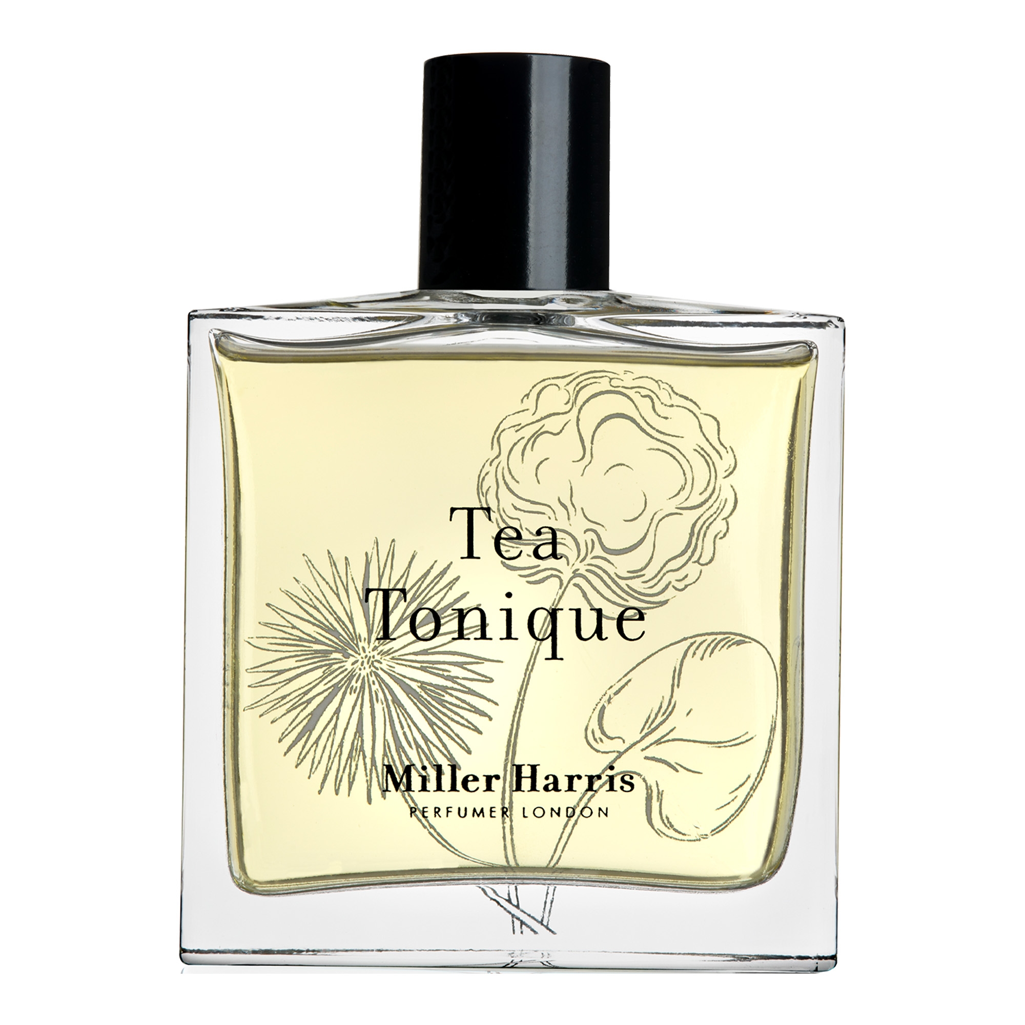 Tea Tonique 50ml kinkekomplekt