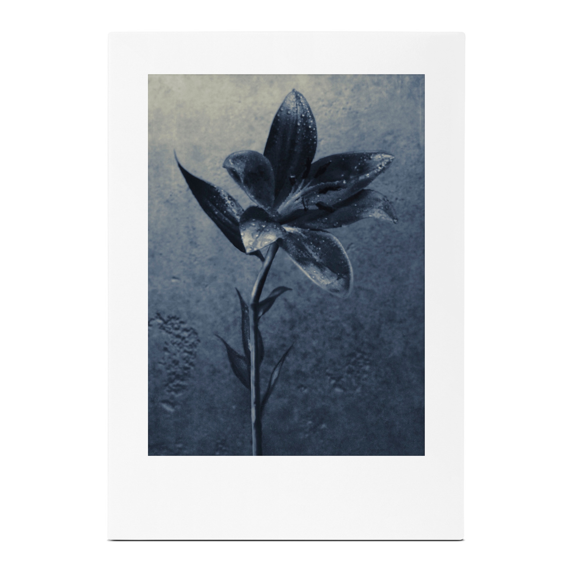 Concrete Rain EdP 100ml