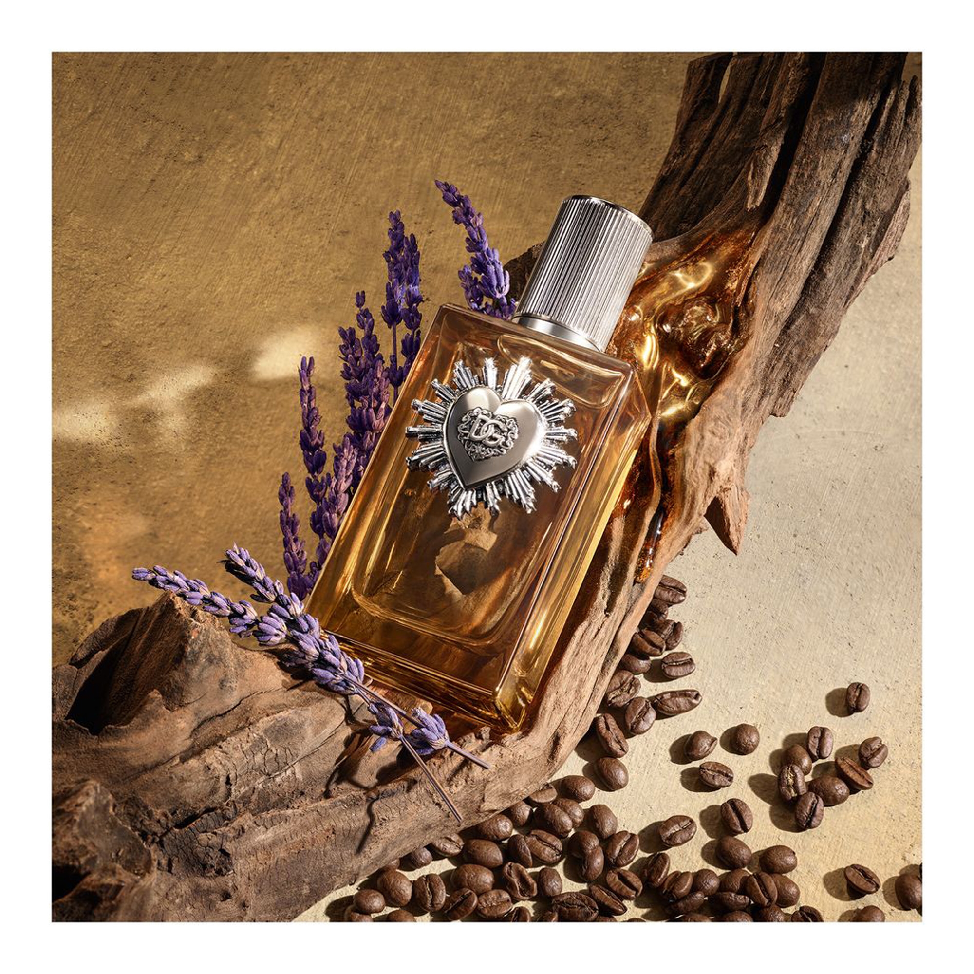 Devotion Pour Homme Parfum 50ml