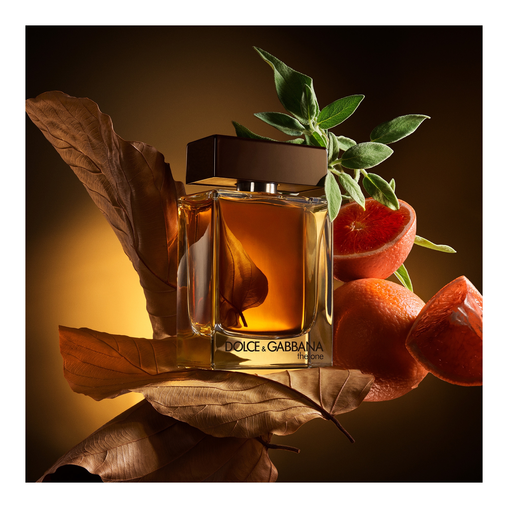 The One Pour Homme EdP 50ml