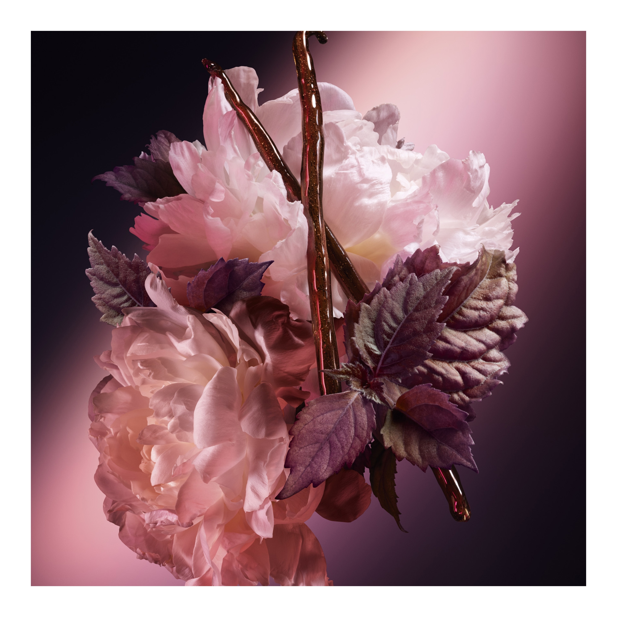 Good Girl Blush Elixir 30ml