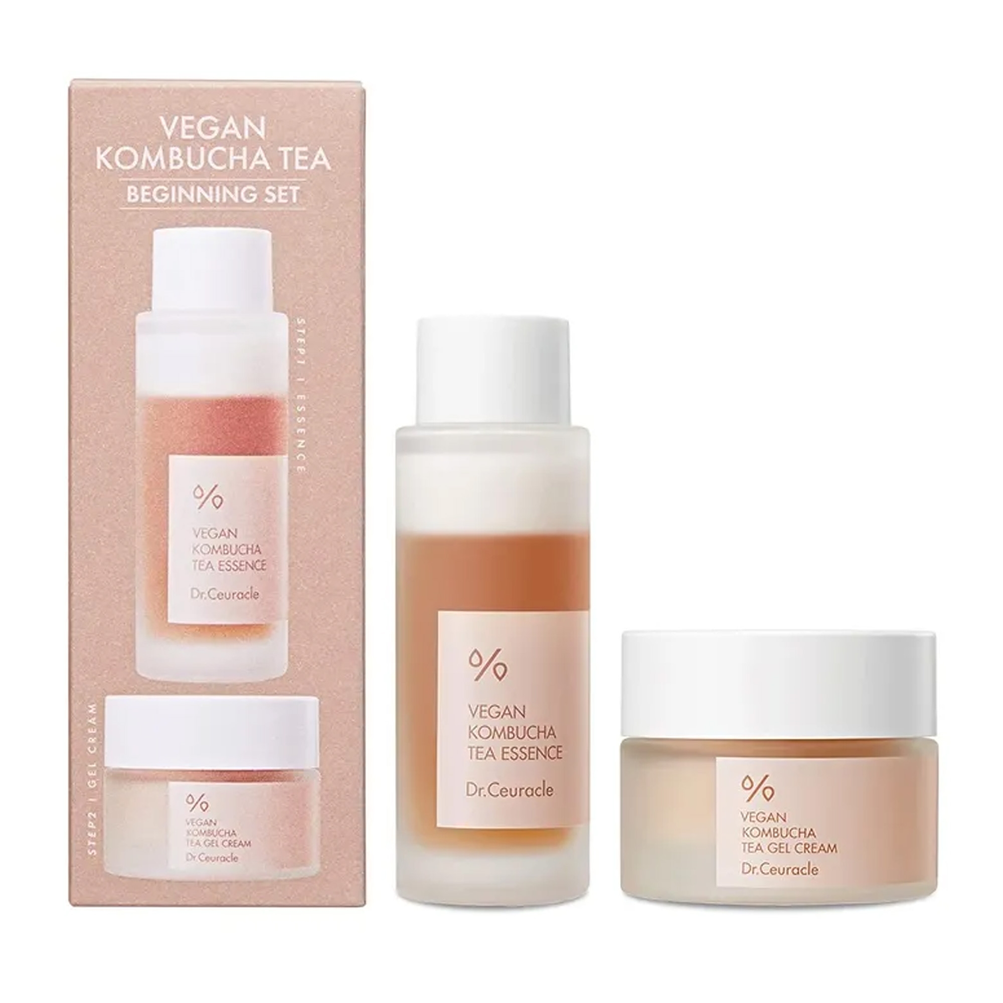 Vegan Kombucha Tea komplekt
