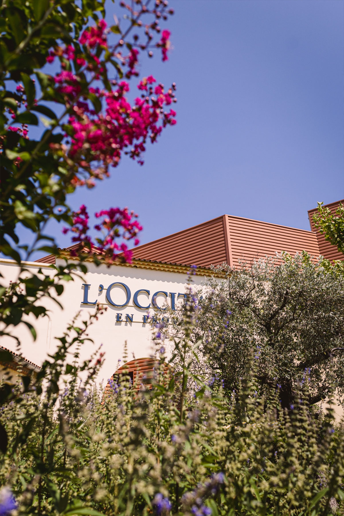 L’Occitane’i looja Olivier Baussan – Provence’i hingega visionäär