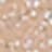 345-glam beige rose