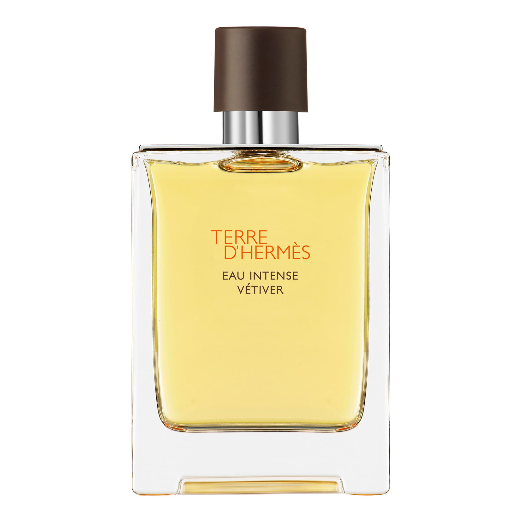 Terre d'Hermès Eau Intense Vétiver EdP 100ml