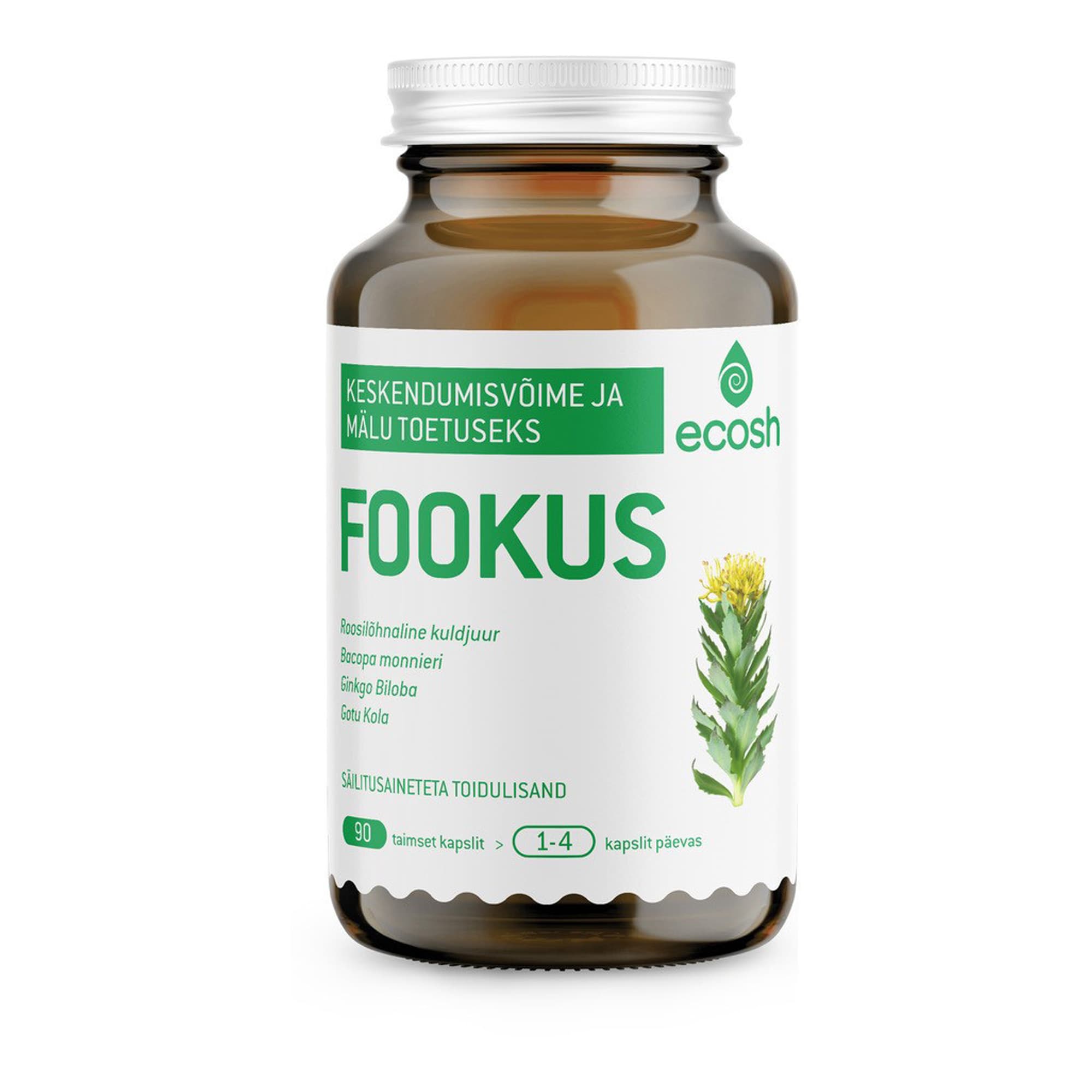 Fookus 90tk