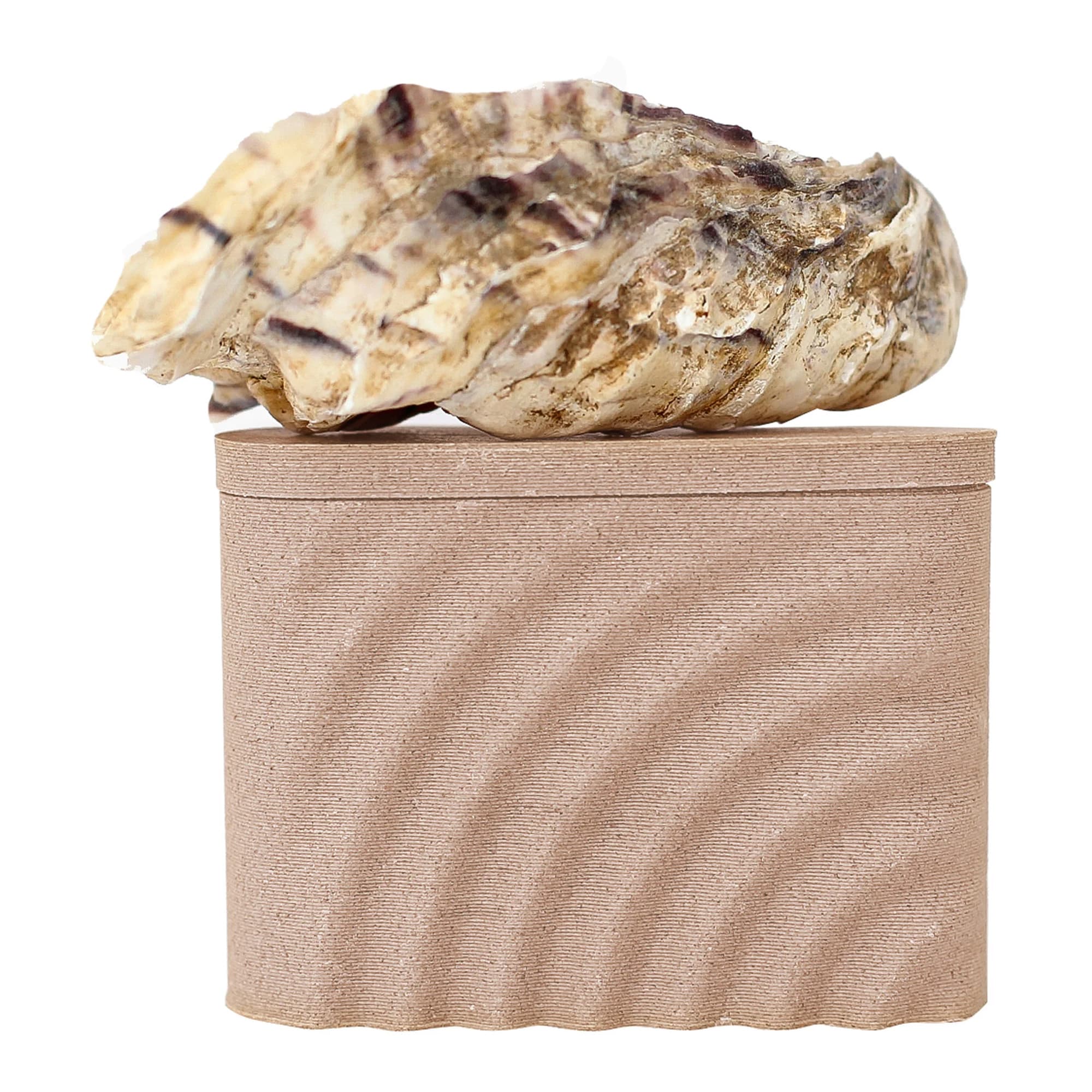 Tahke šampooni biolagunev reisikarp Waves